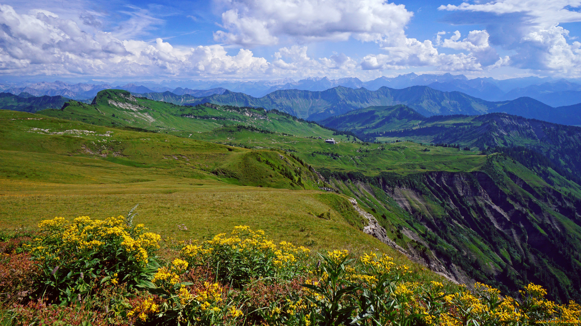 природа, пейзажи, простор