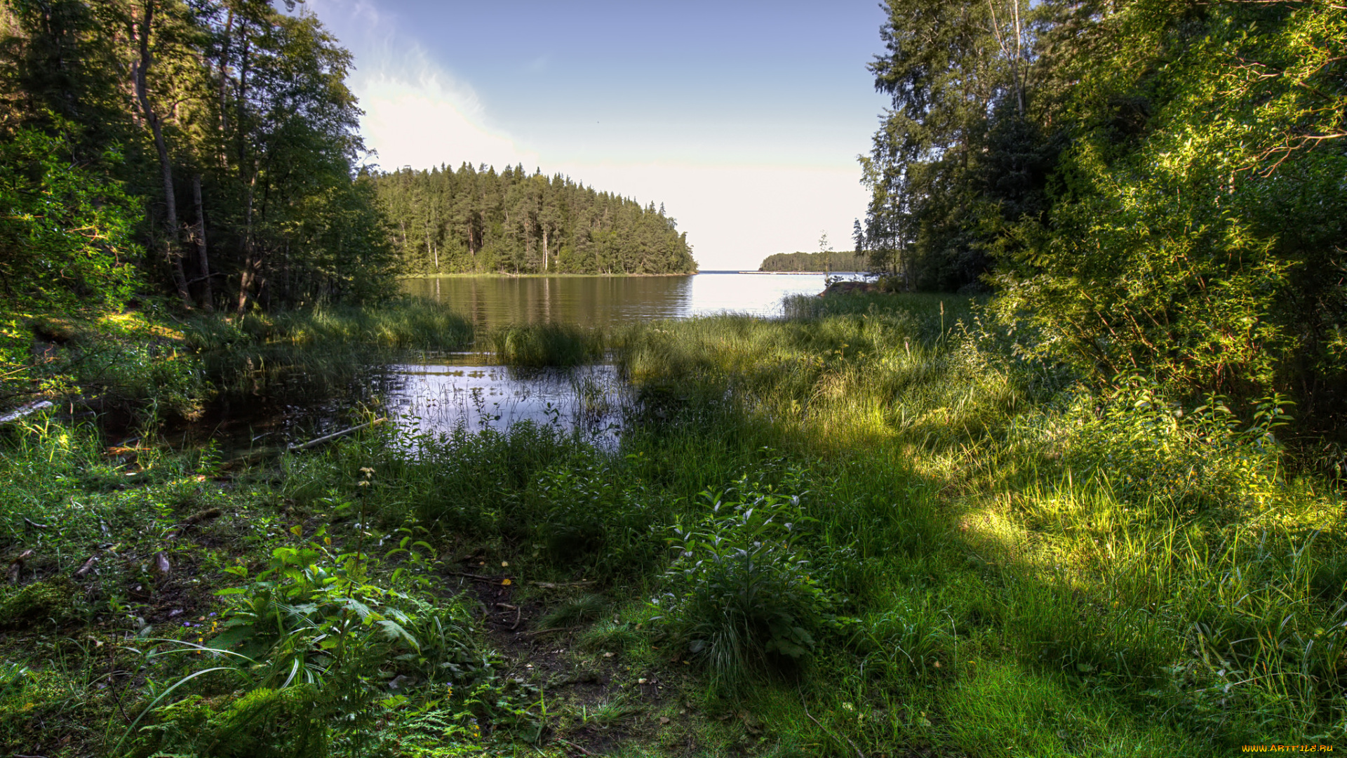 природа, реки, озера, простор
