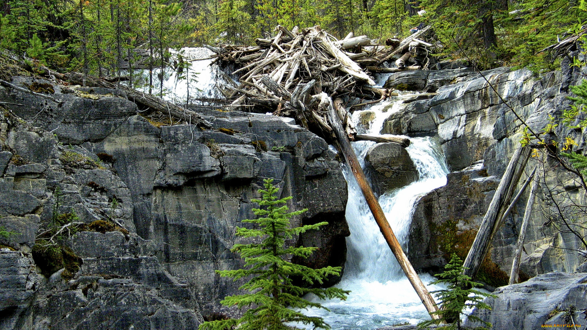 природа, реки, озера, простор