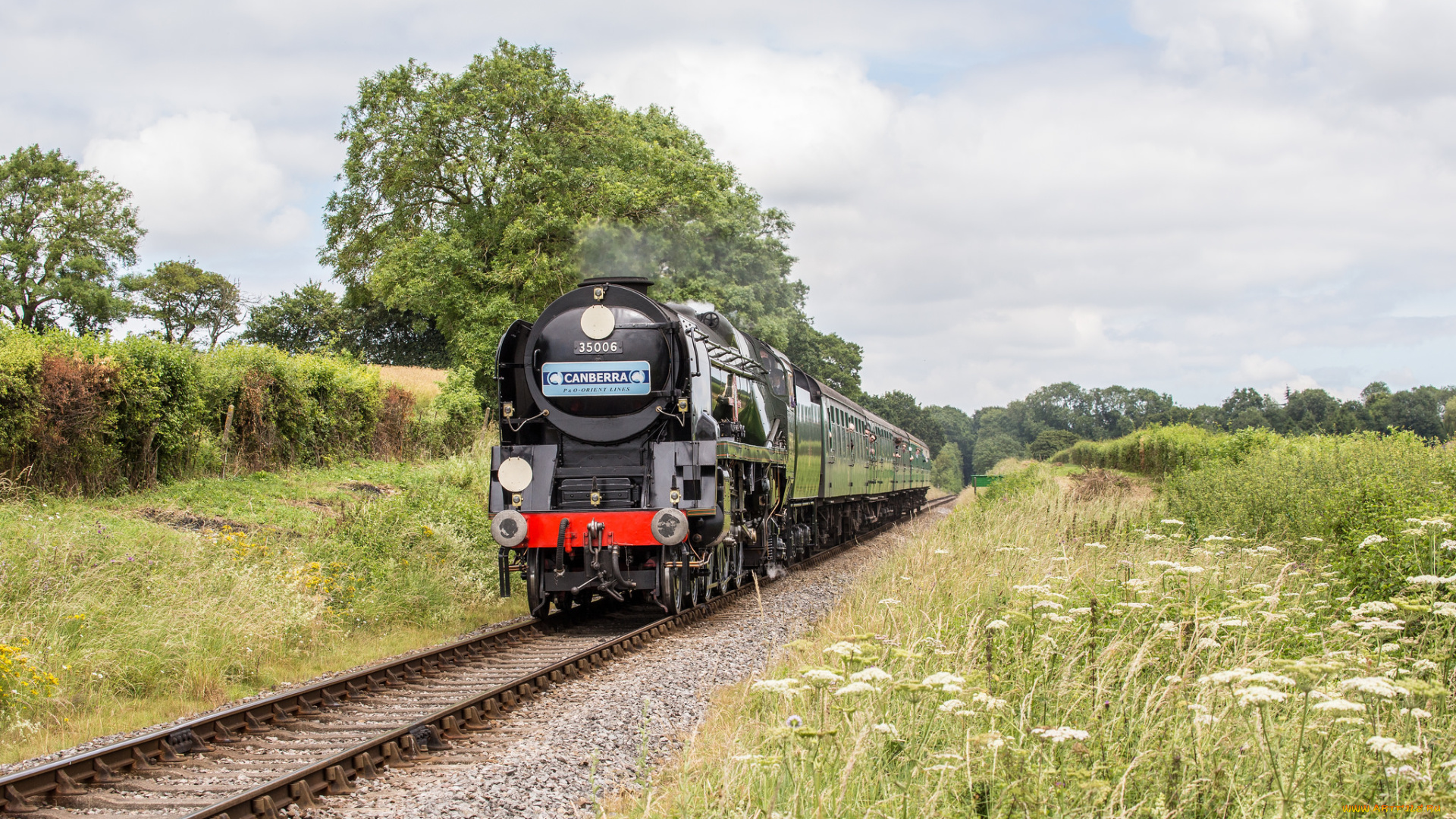 техника, паровозы, локомотив, состав