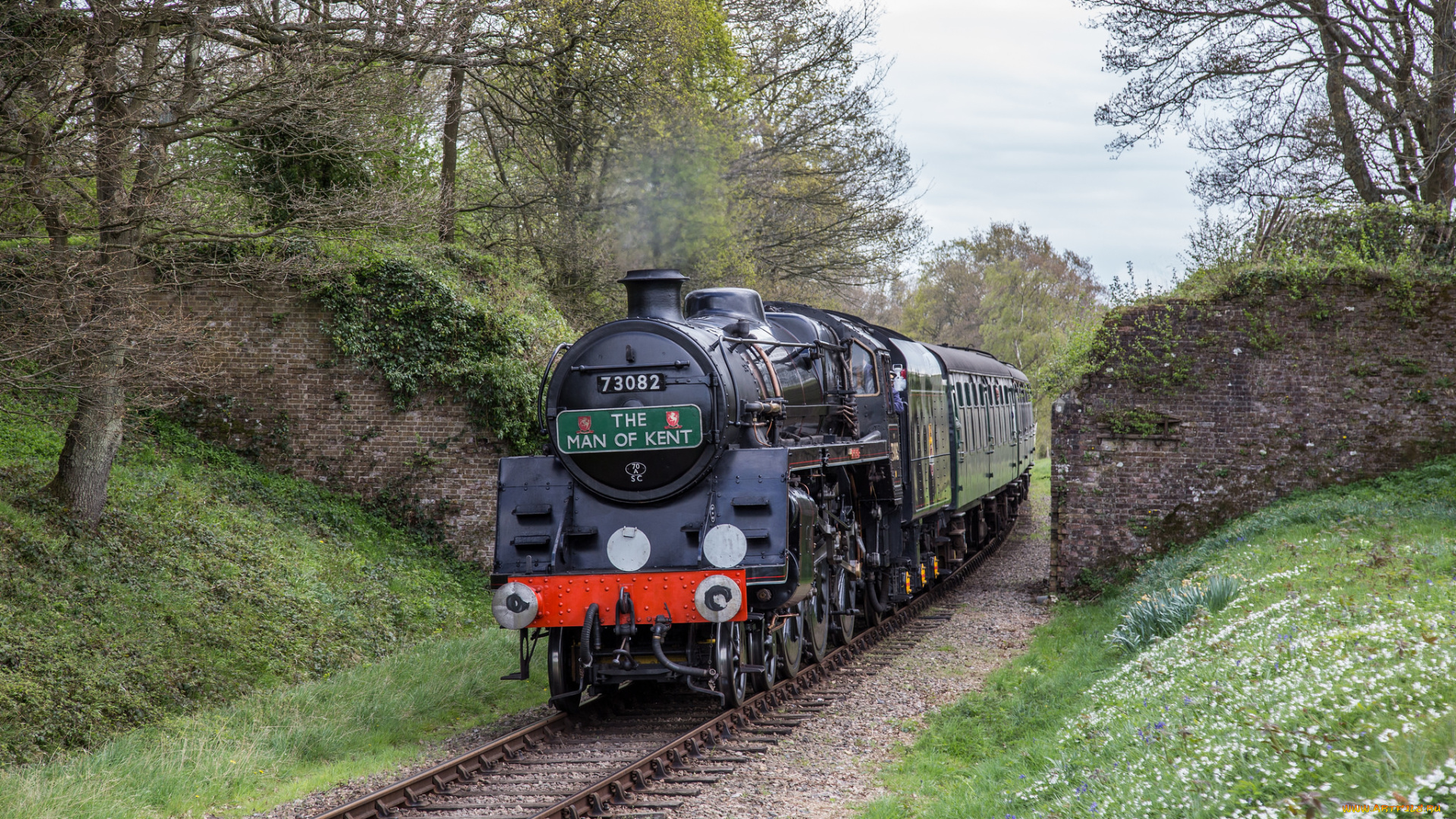 техника, паровозы, состав, локомотив