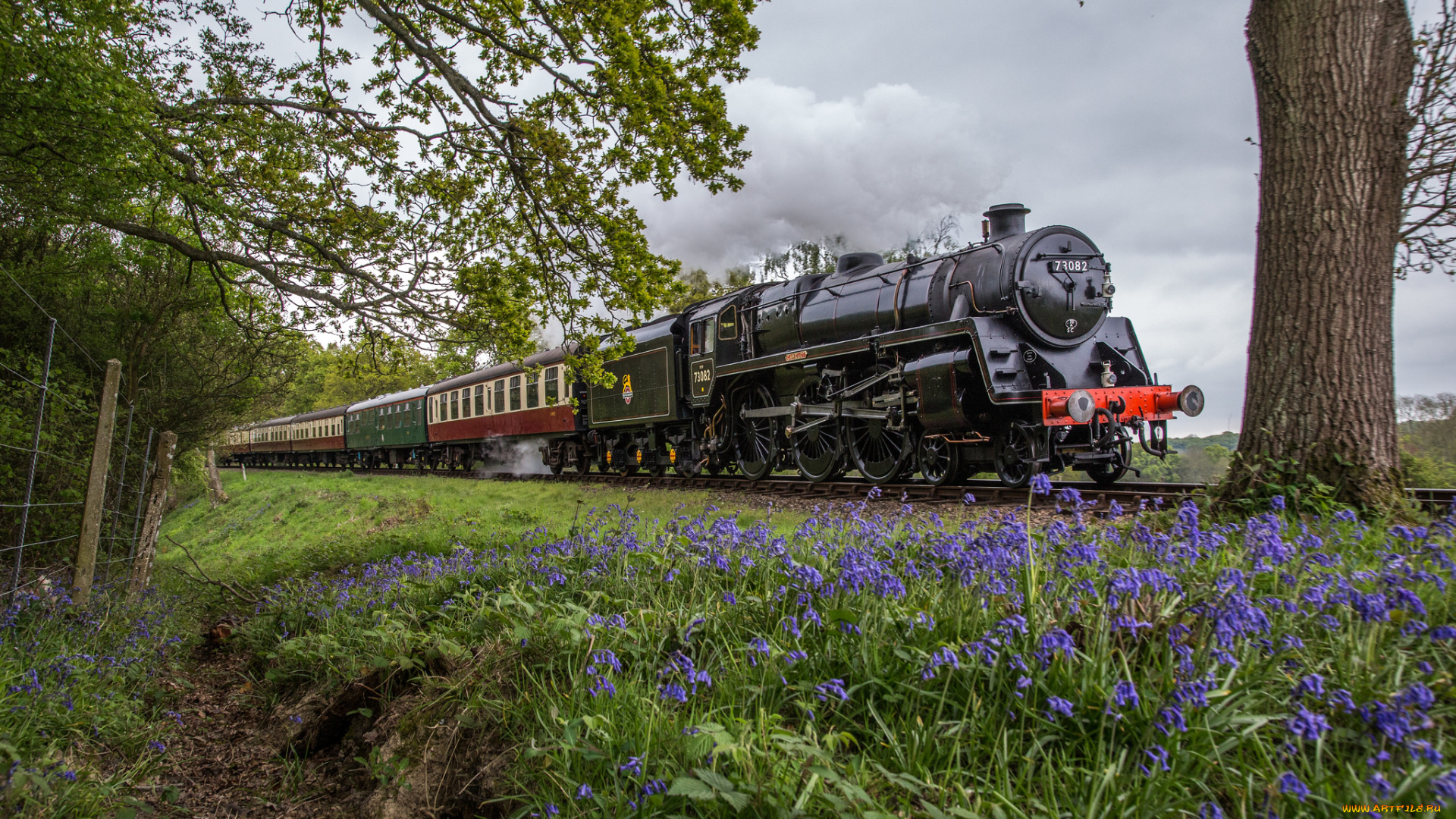 техника, паровозы, состав, локомотив