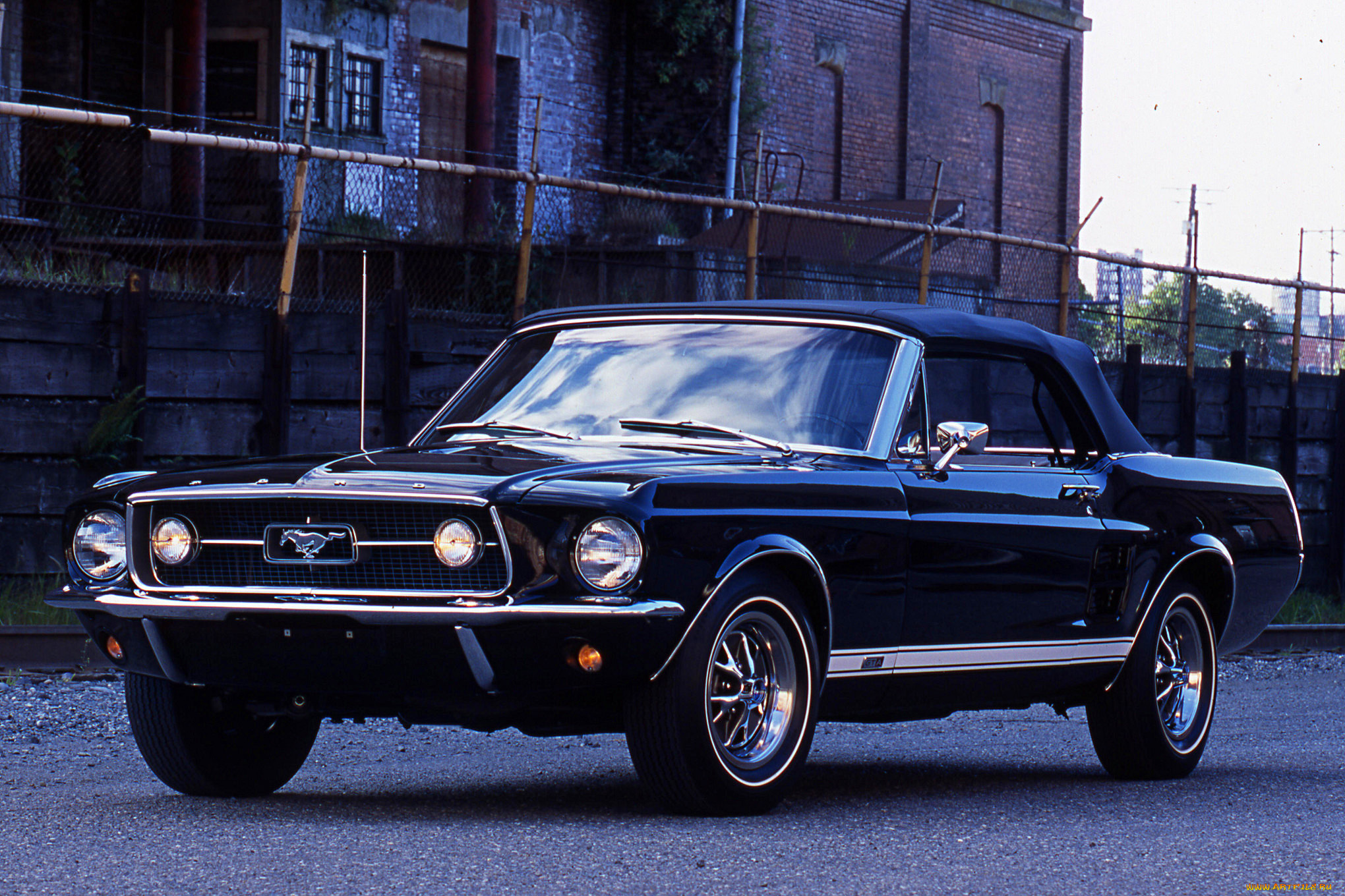 автомобили, mustang