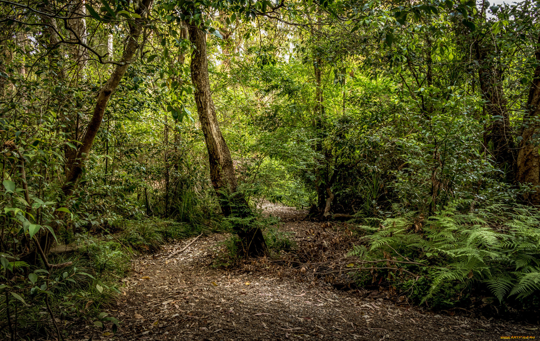 природа, дороги, простор