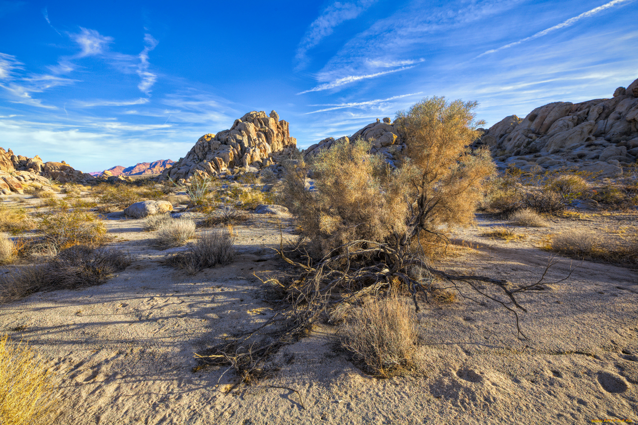 природа, пустыни, простор