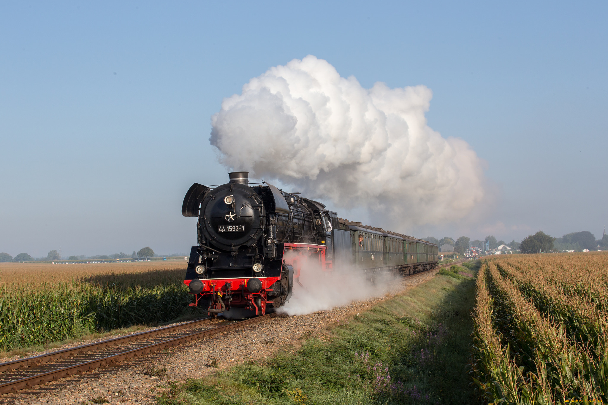 техника, паровозы, локомотив, состав