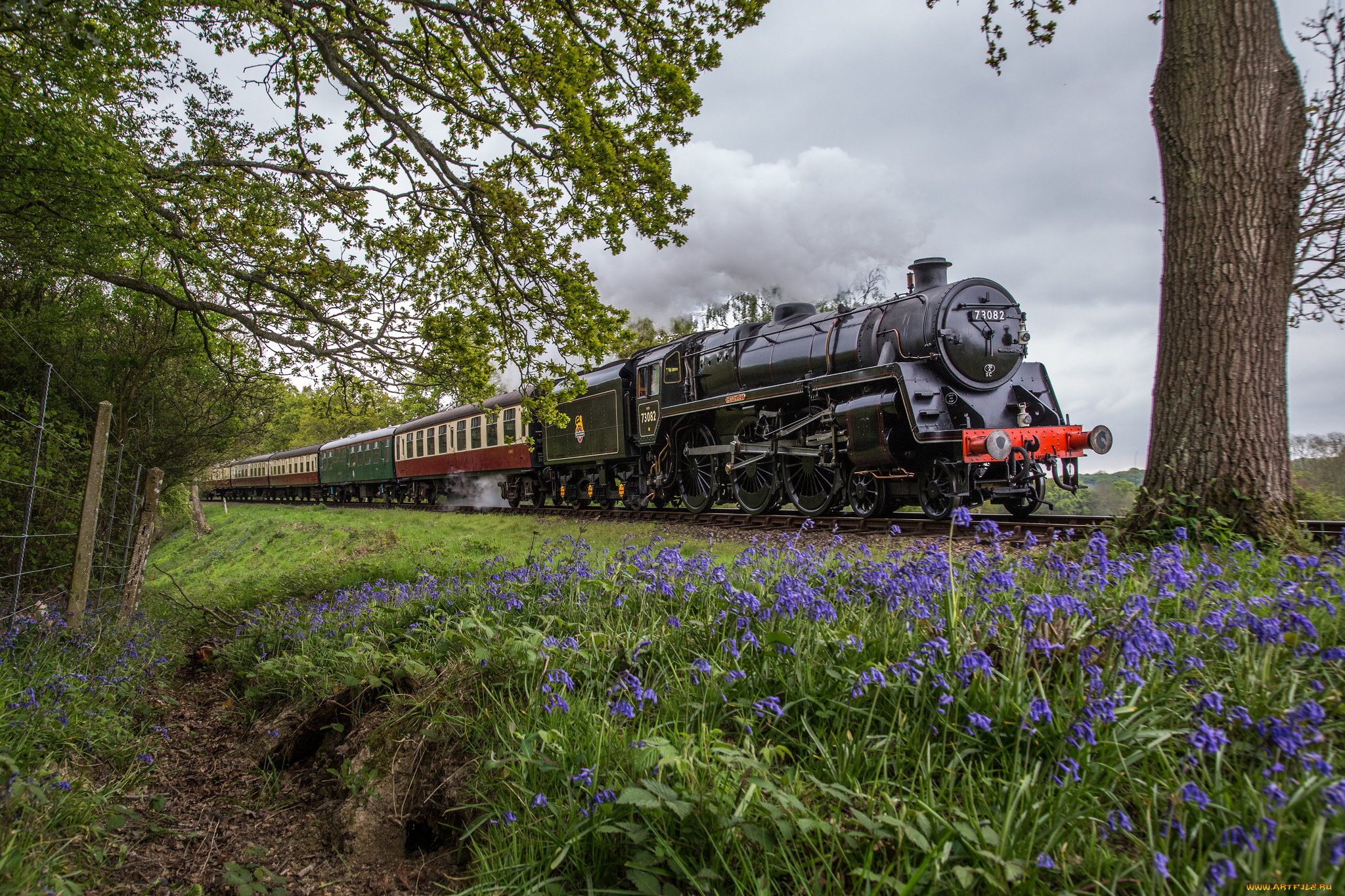 техника, паровозы, состав, локомотив