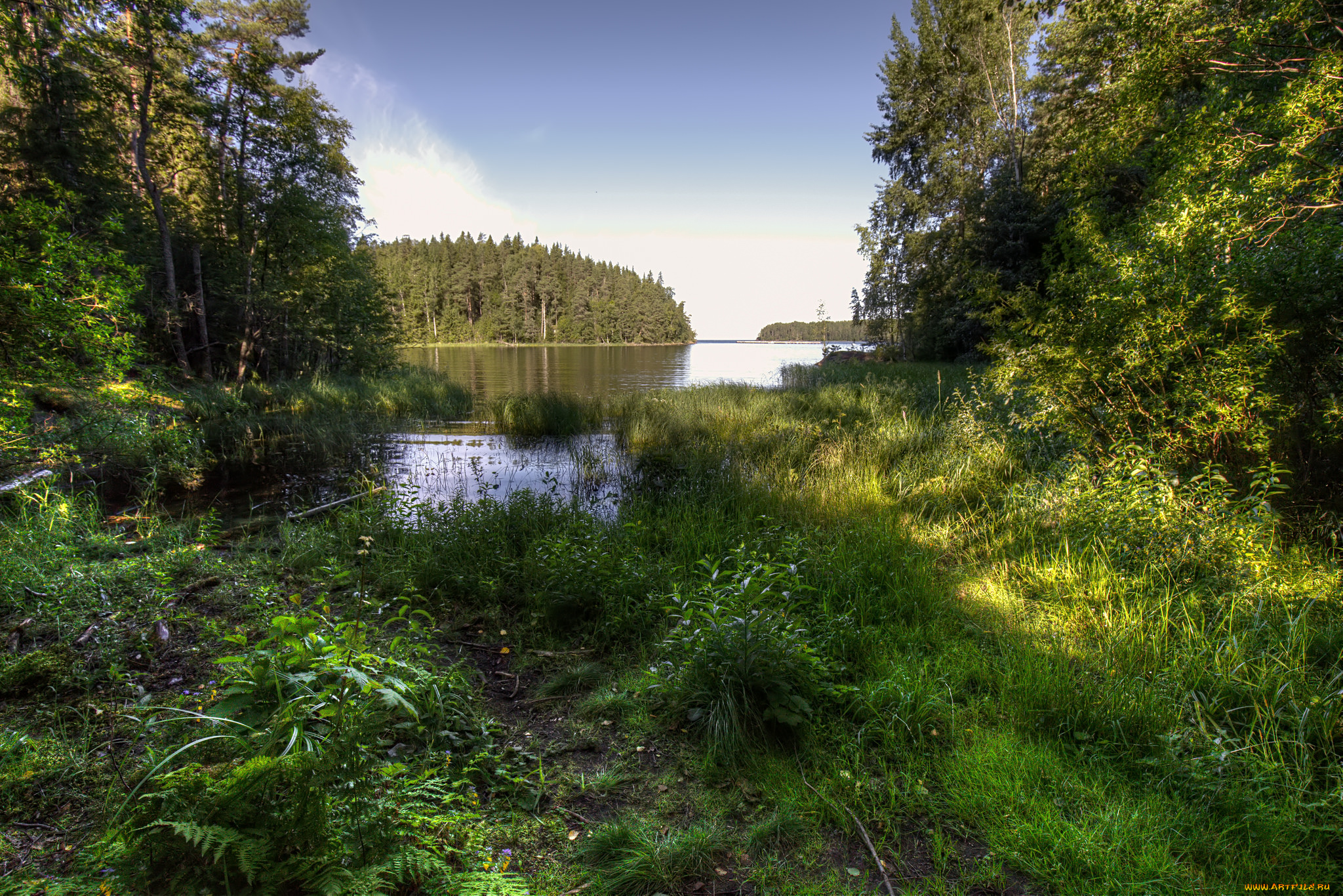 природа, реки, озера, простор