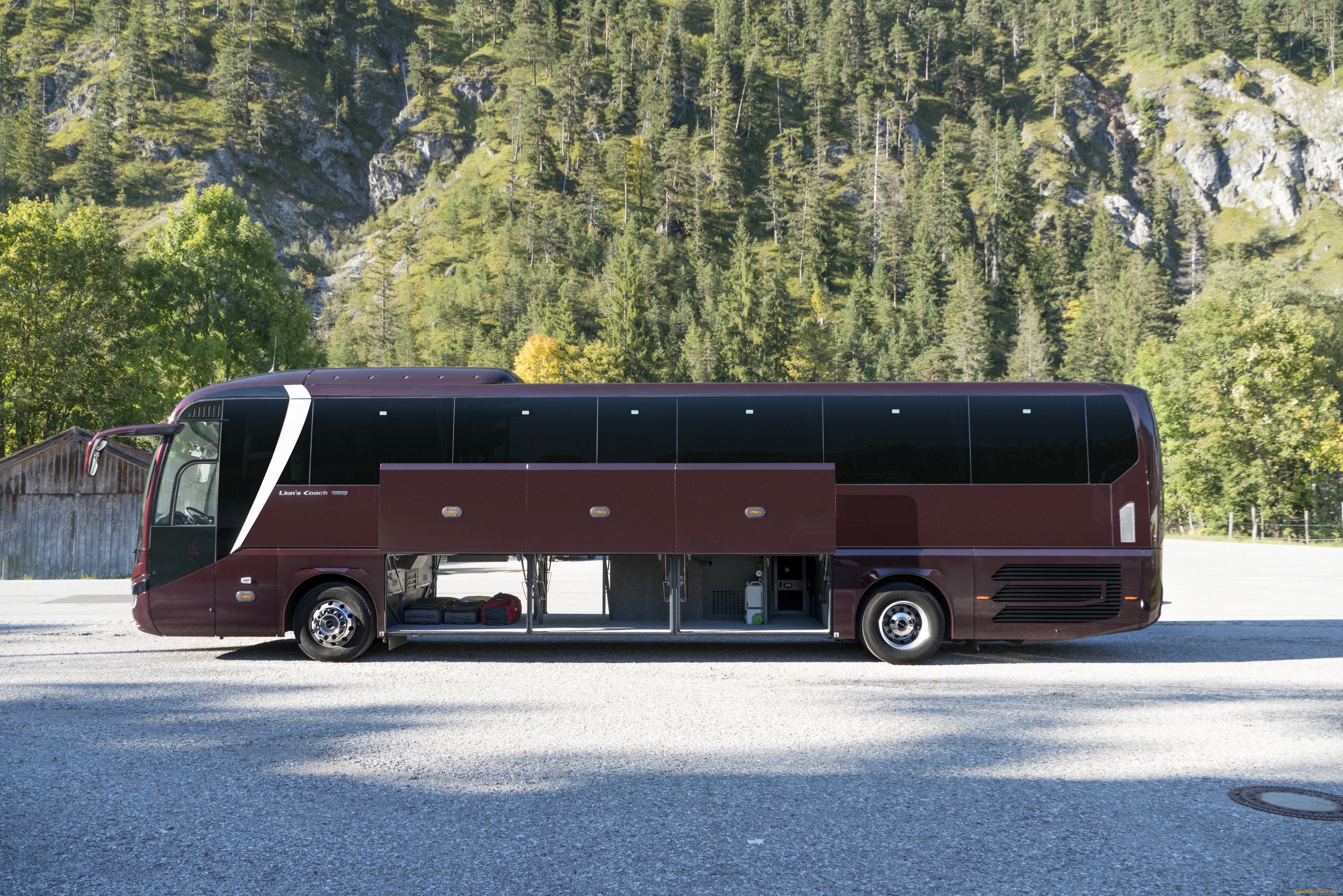 автомобили, автобусы, man