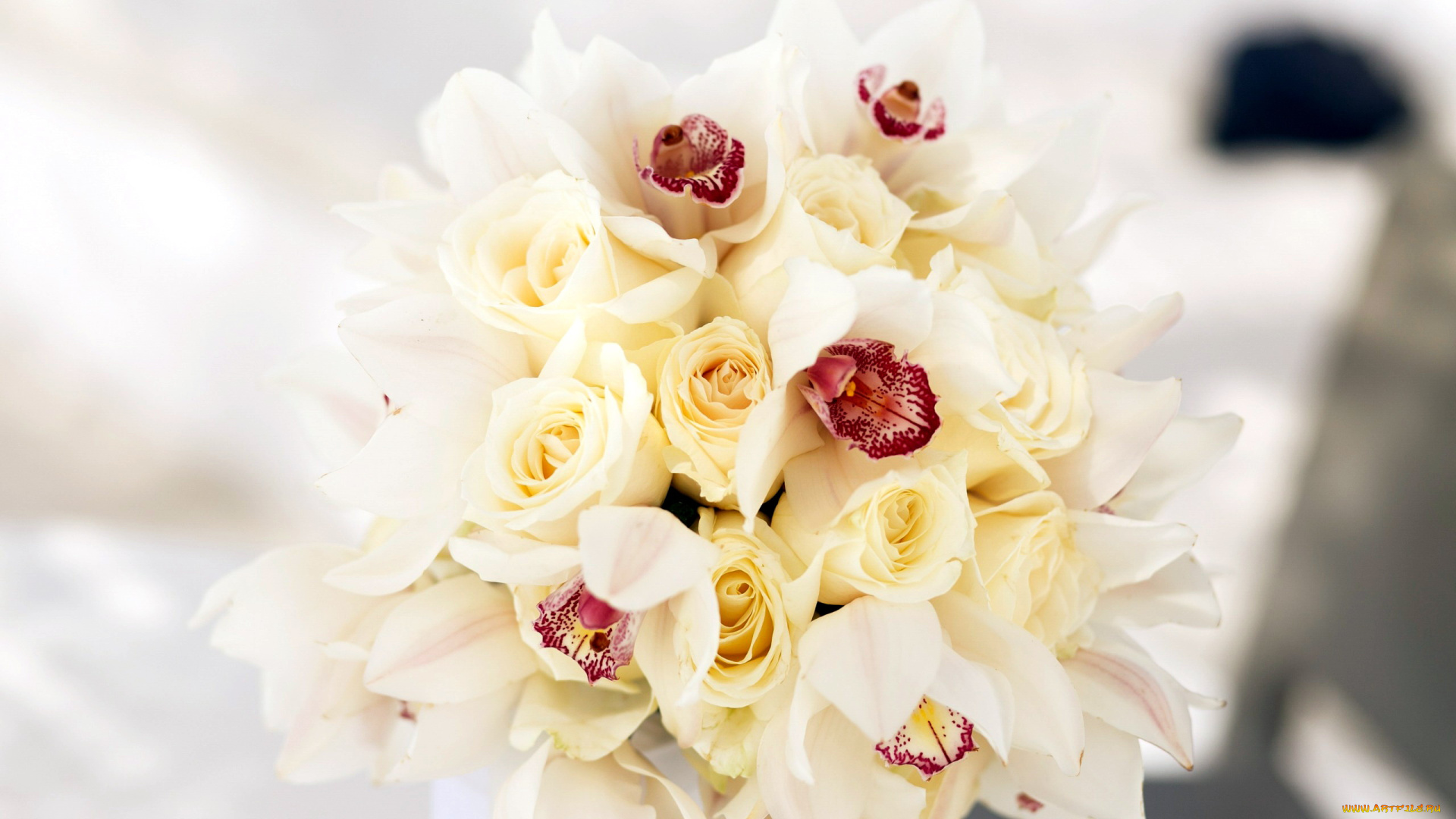 цветы, букеты, , композиции, орхидеи, розы