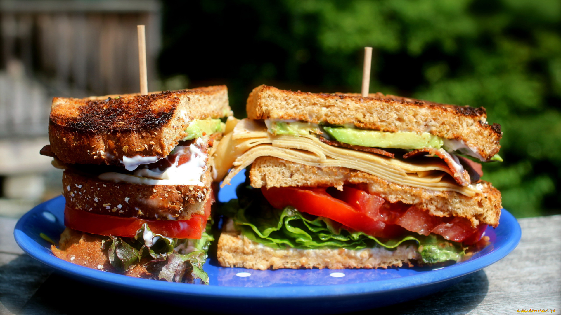 еда, бутерброды, , гамбургеры, , канапе, сэндвич