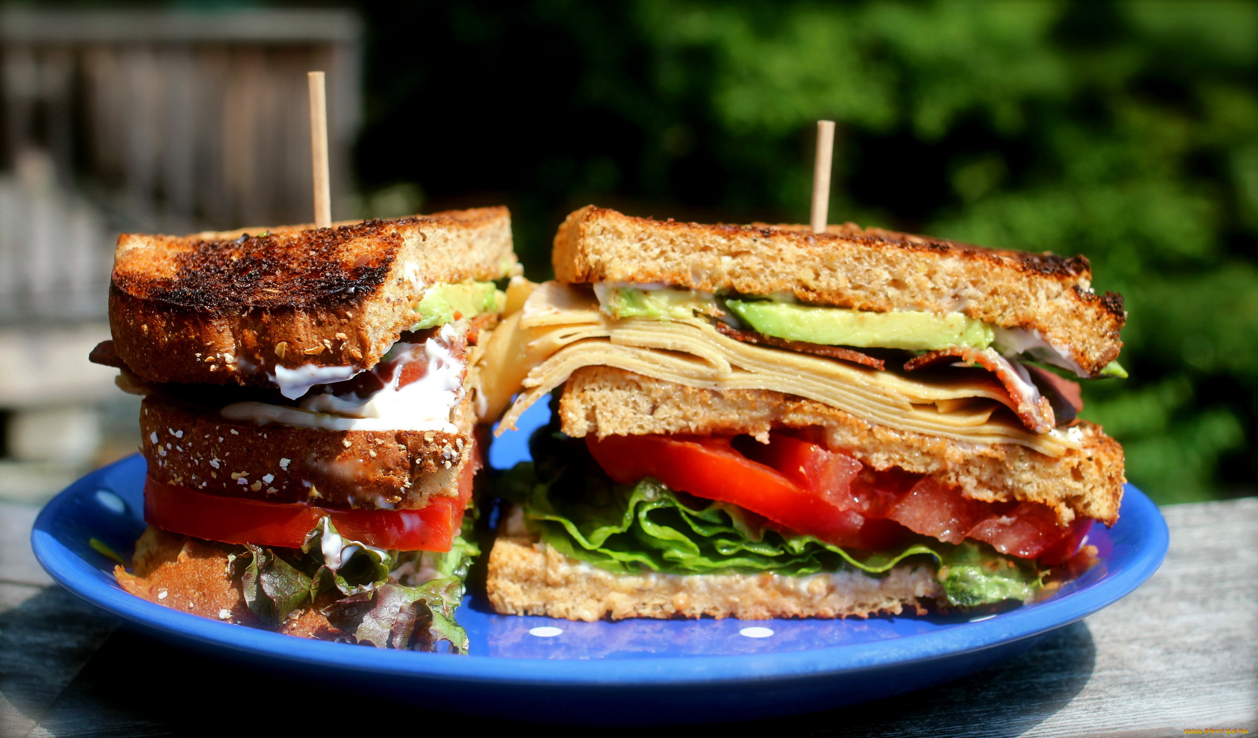 еда, бутерброды, , гамбургеры, , канапе, сэндвич