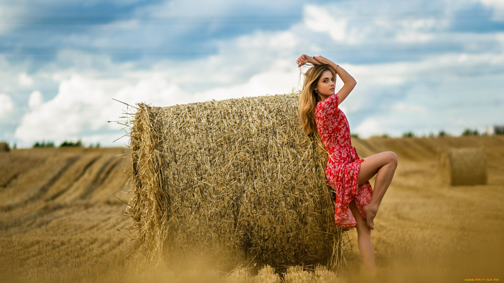 девушки, -, брюнетки, , шатенки, поле, стог, шатенка, поза