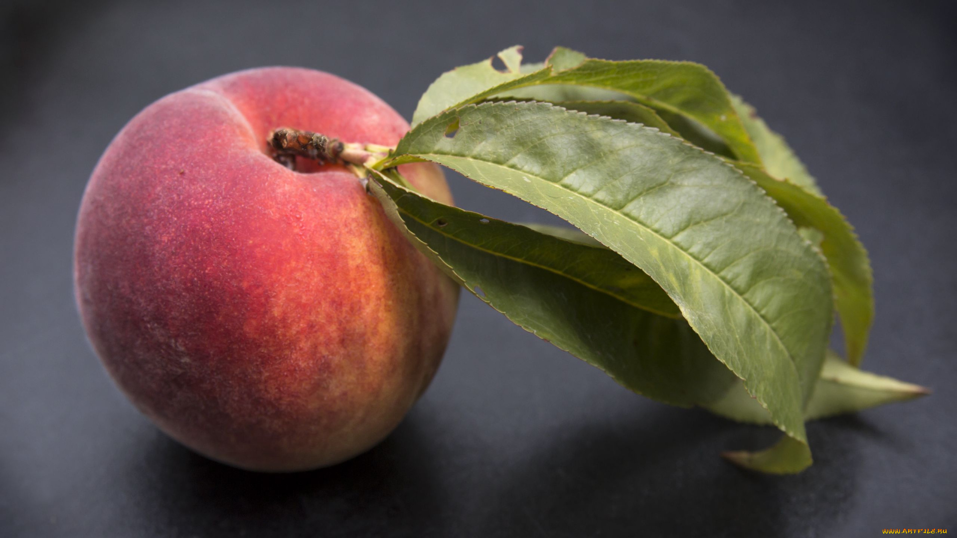 еда, персики, , сливы, , абрикосы, персик, макро