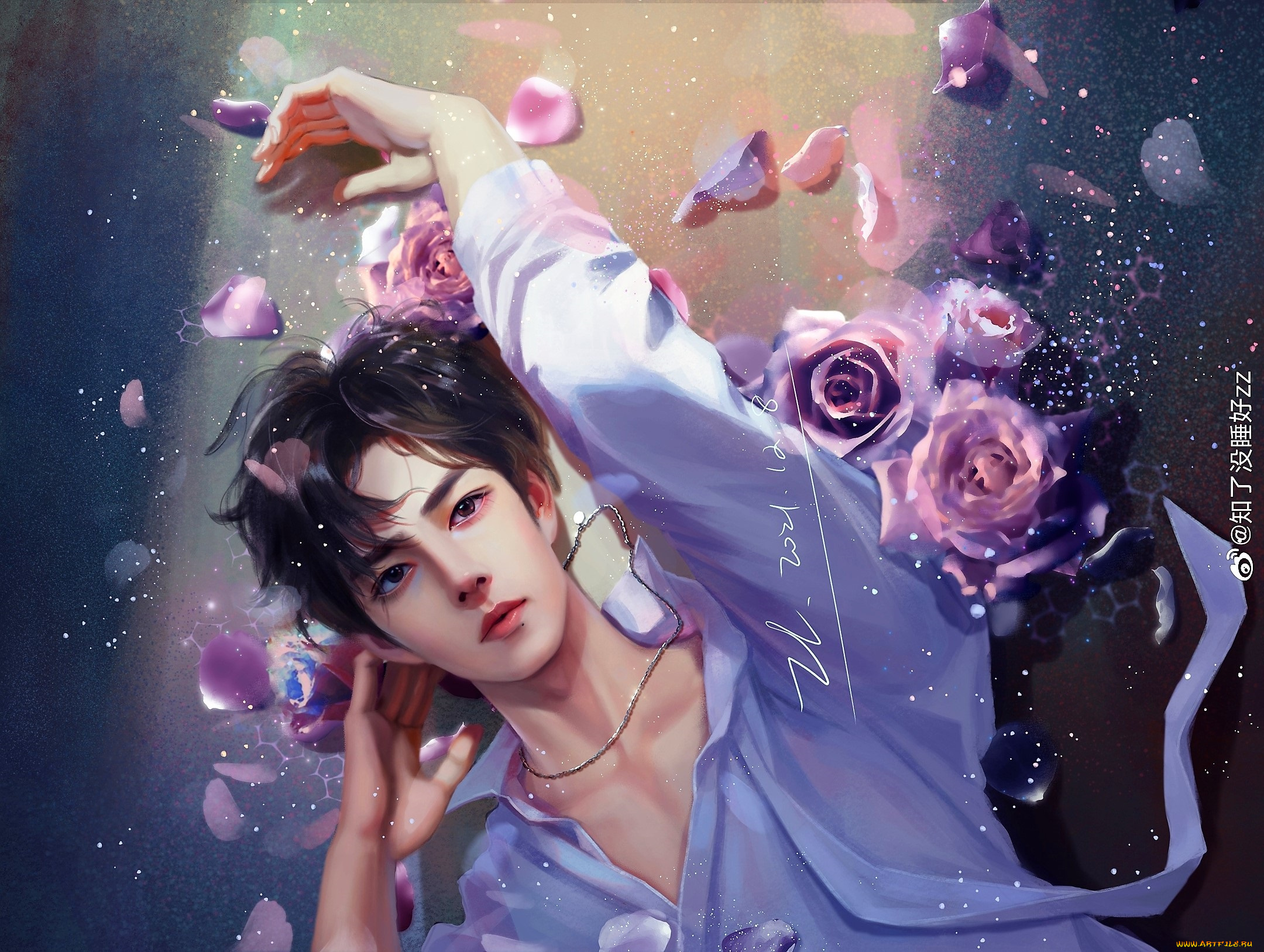 рисованное, люди, сяо, джань, рубашка, розы, лепестки