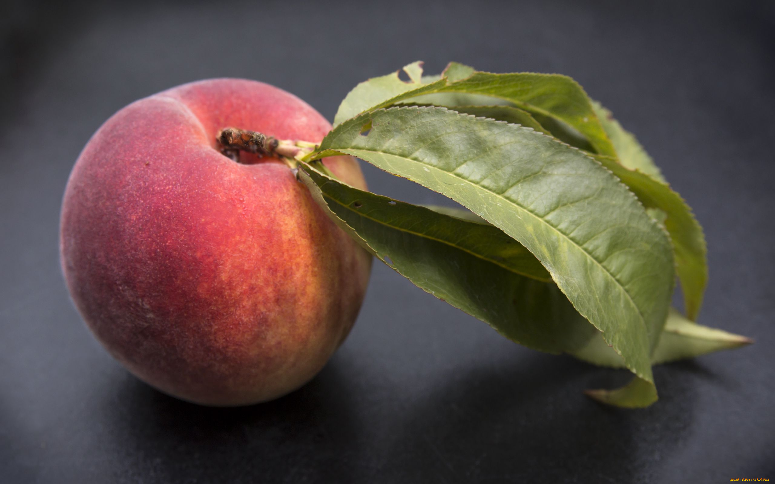 еда, персики, , сливы, , абрикосы, персик, макро