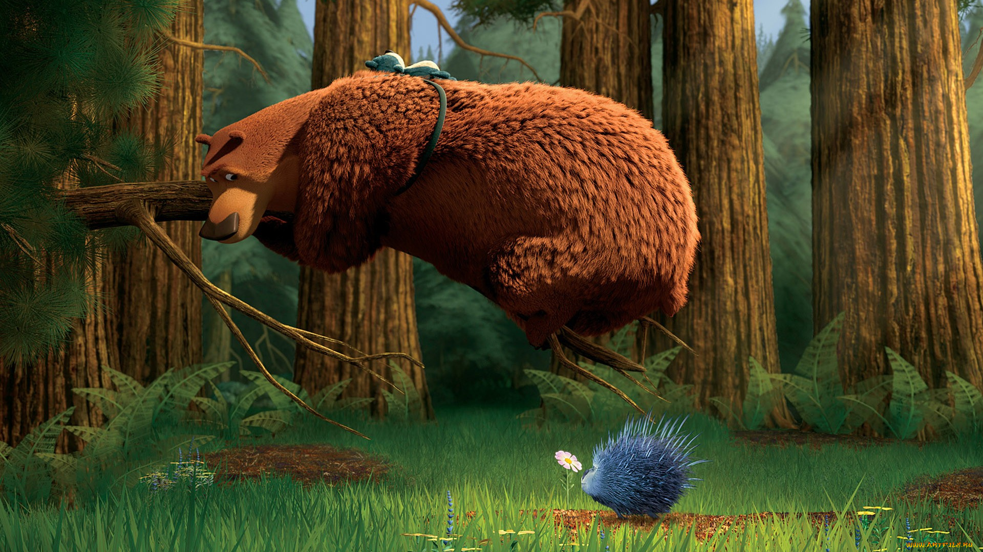 мультфильмы, open, season, медведь, ветка, ёж