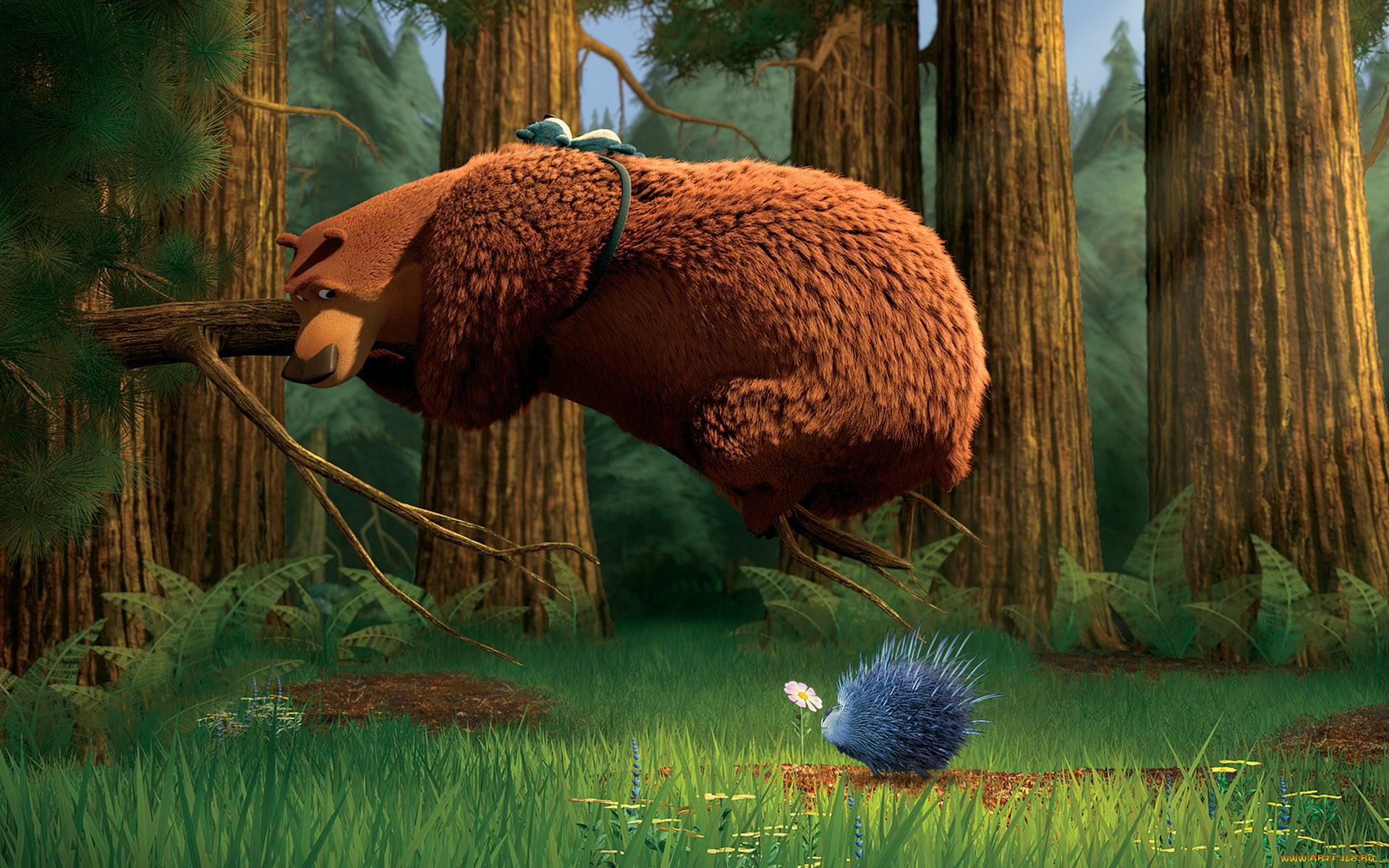 мультфильмы, open, season, медведь, ветка, ёж