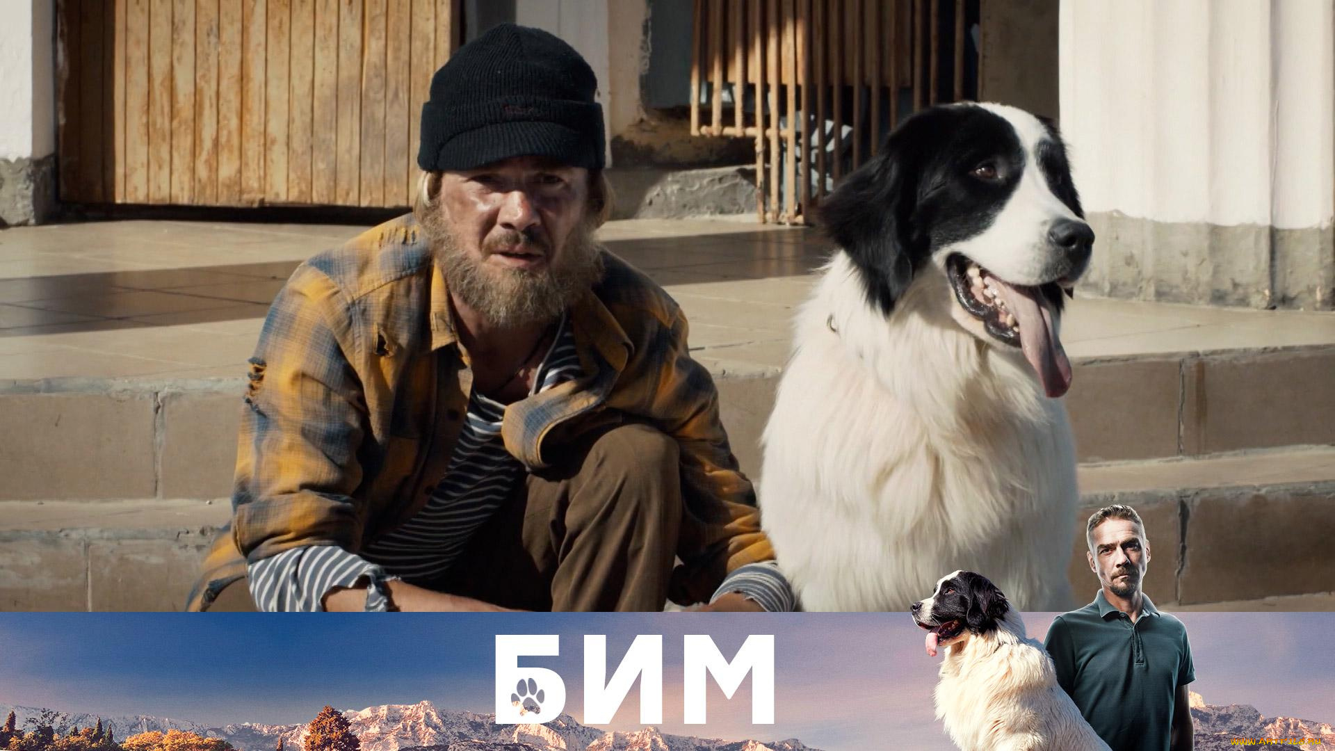 бим, , сериал, 2021, –, , кино, фильмы, сериал, бим, денис, никифоров, комедия, криминал, макар, климов, фoрвард