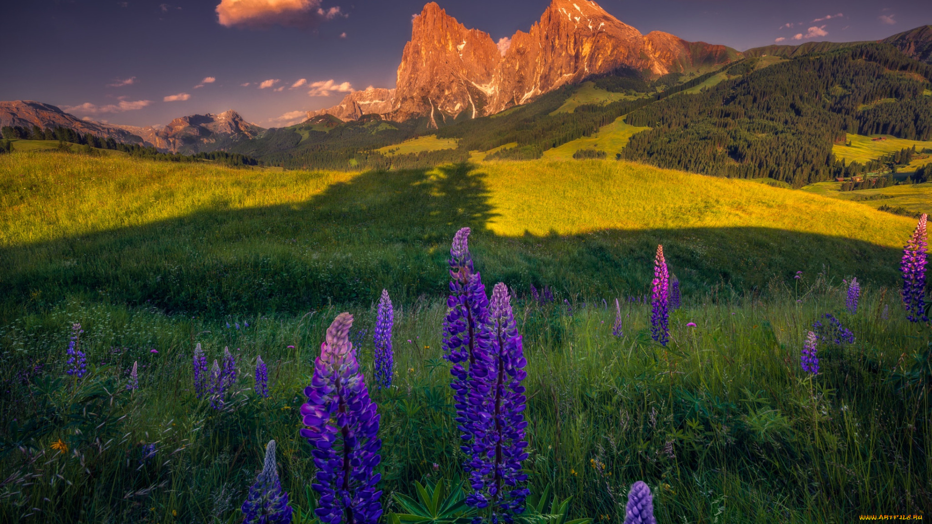 природа, луга, поле, свет, цветы, горы, скалы, склоны, люпины