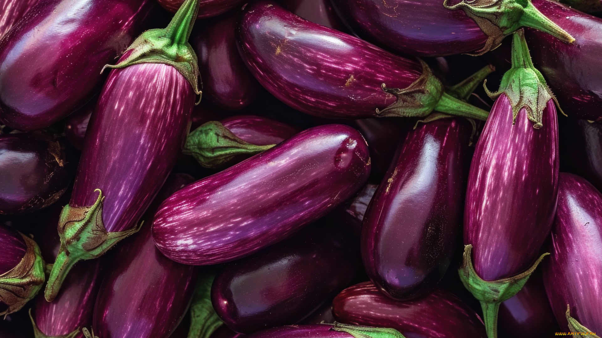 еда, баклажаны, урожай, макро