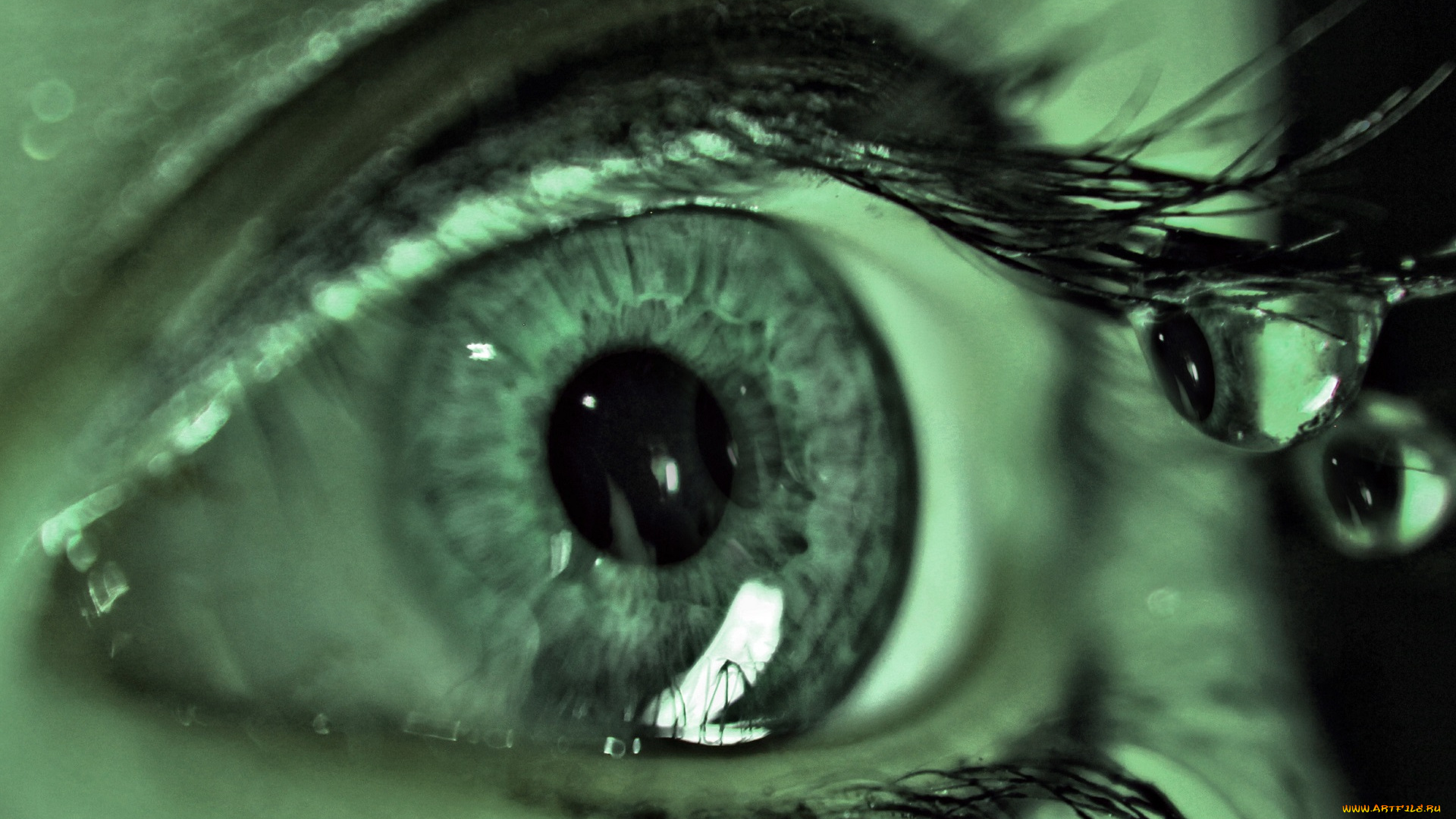 разное, глаза, капли