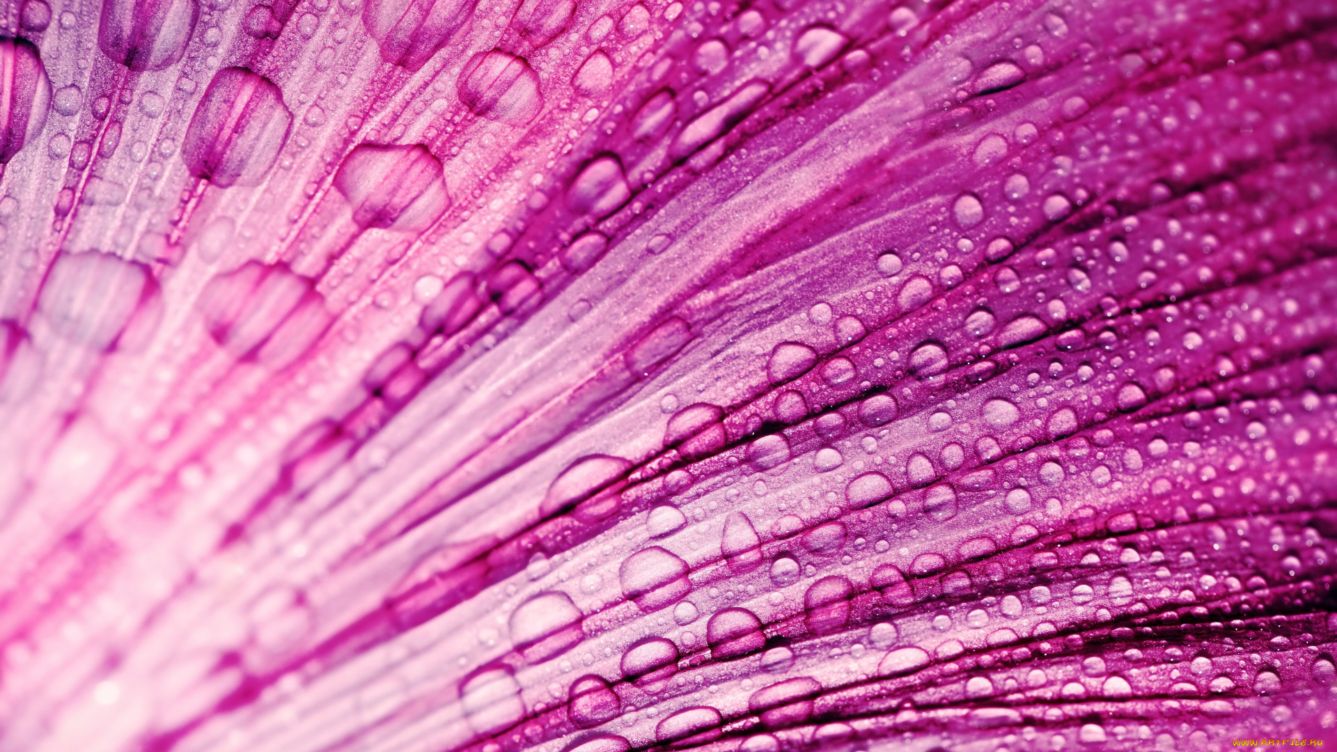 разное, капли, , брызги, , всплески