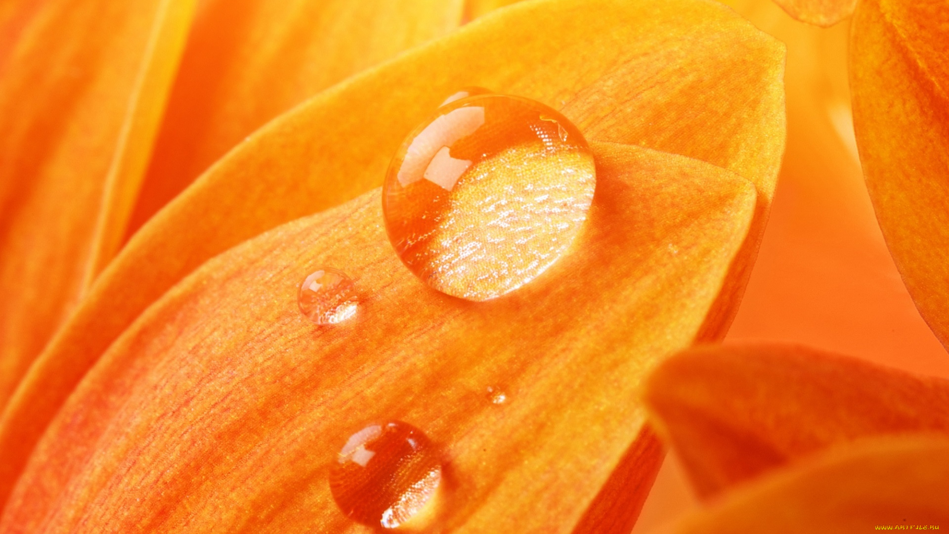 разное, капли, , брызги, , всплески