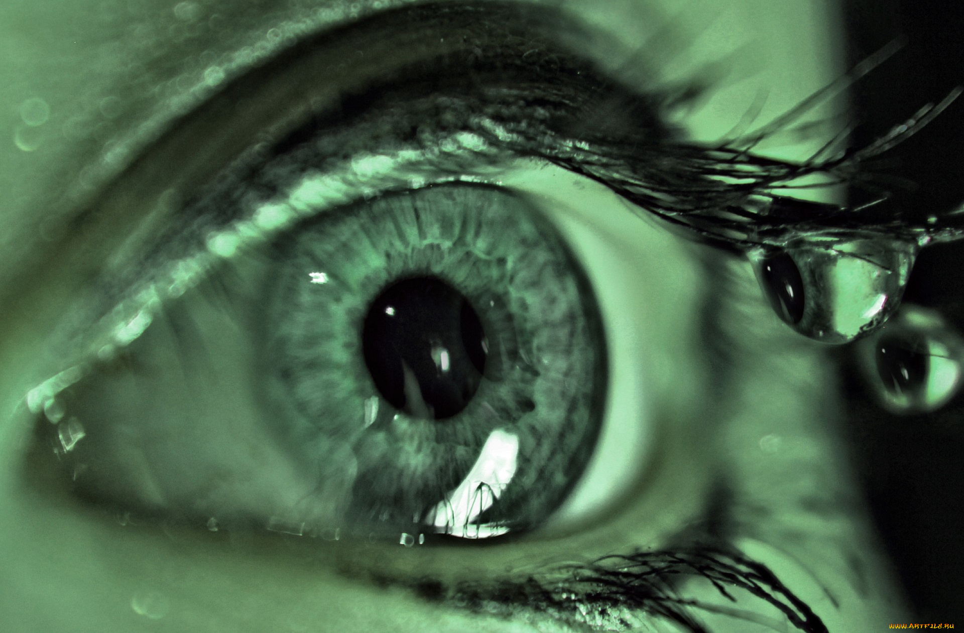 разное, глаза, капли