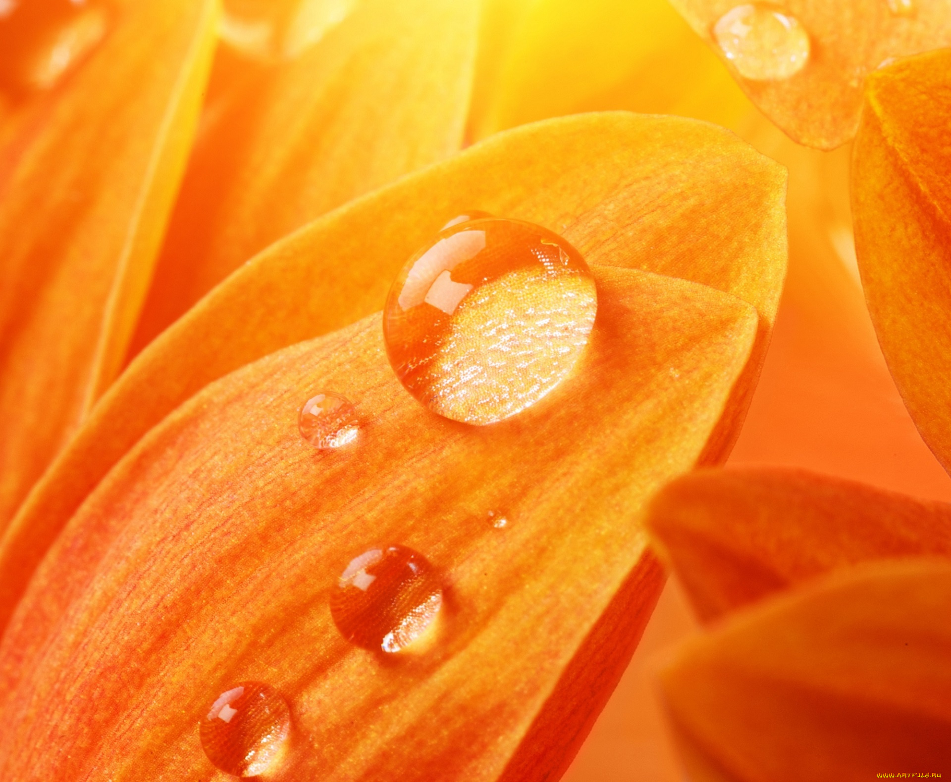 разное, капли, , брызги, , всплески