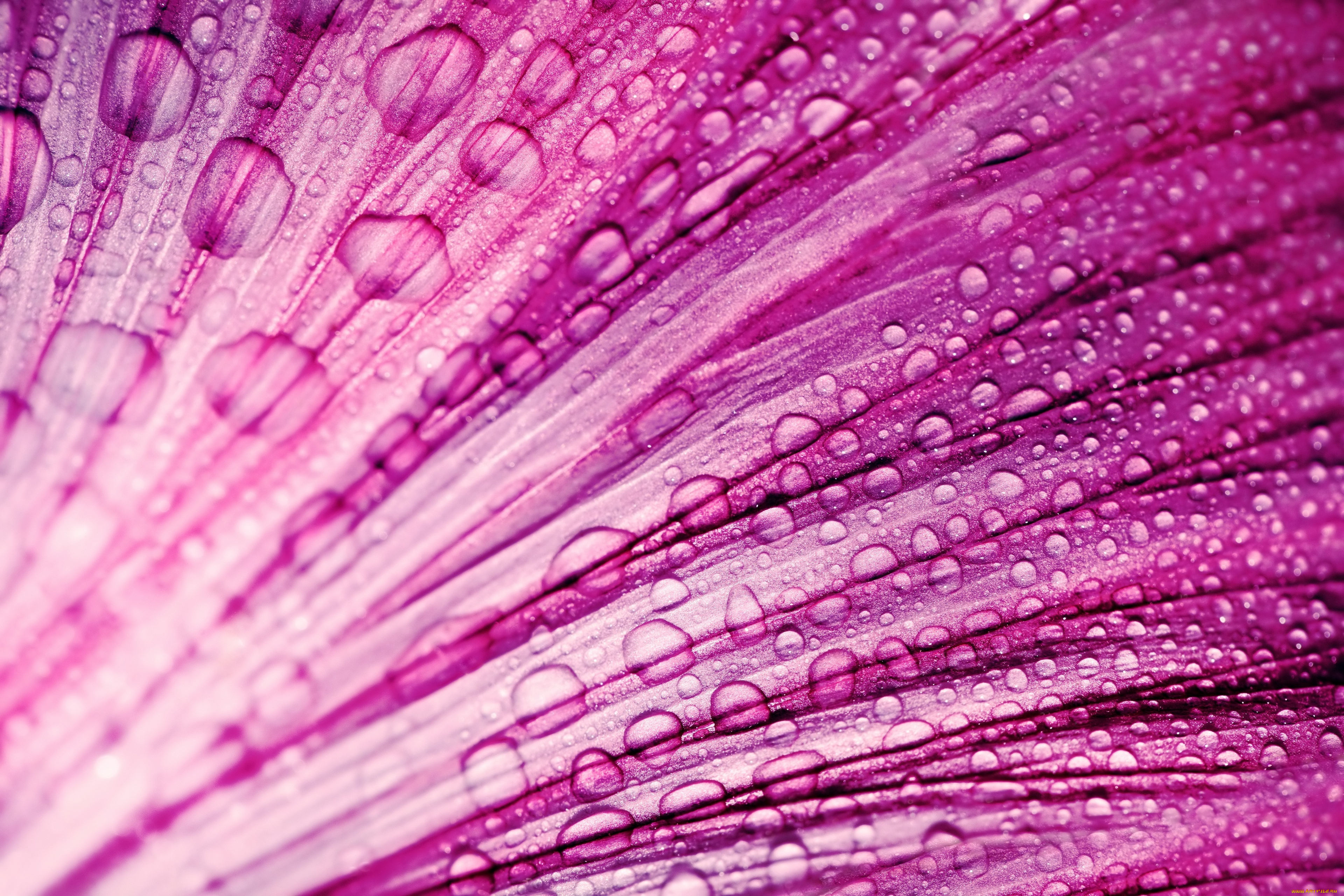 разное, капли, , брызги, , всплески