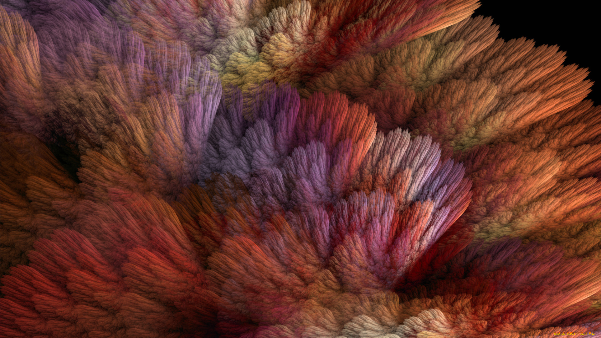 3д, графика, fractal, фракталы, цвета, фон, узор