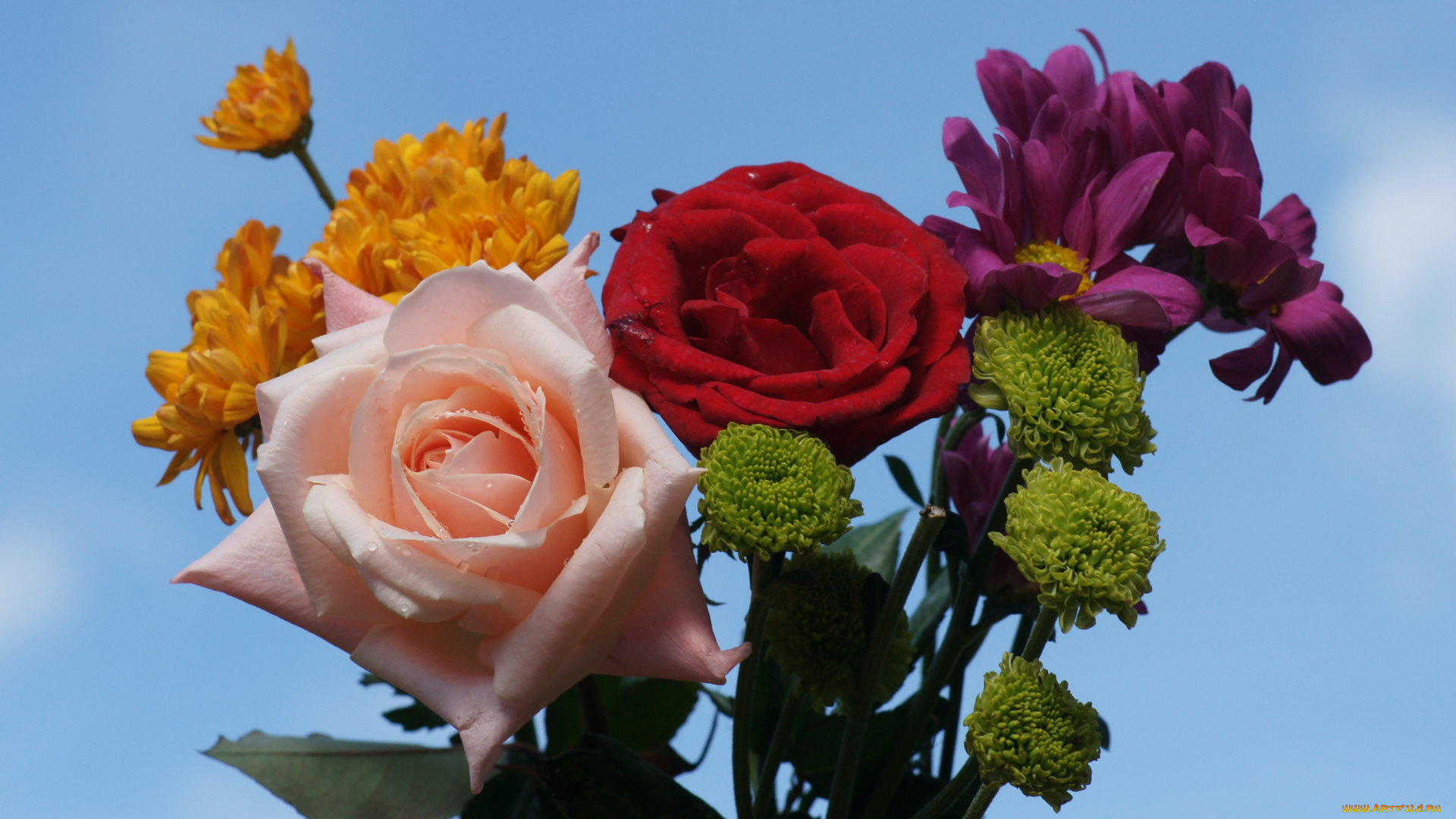 цветы, разные, вместе, розы, хризантемы