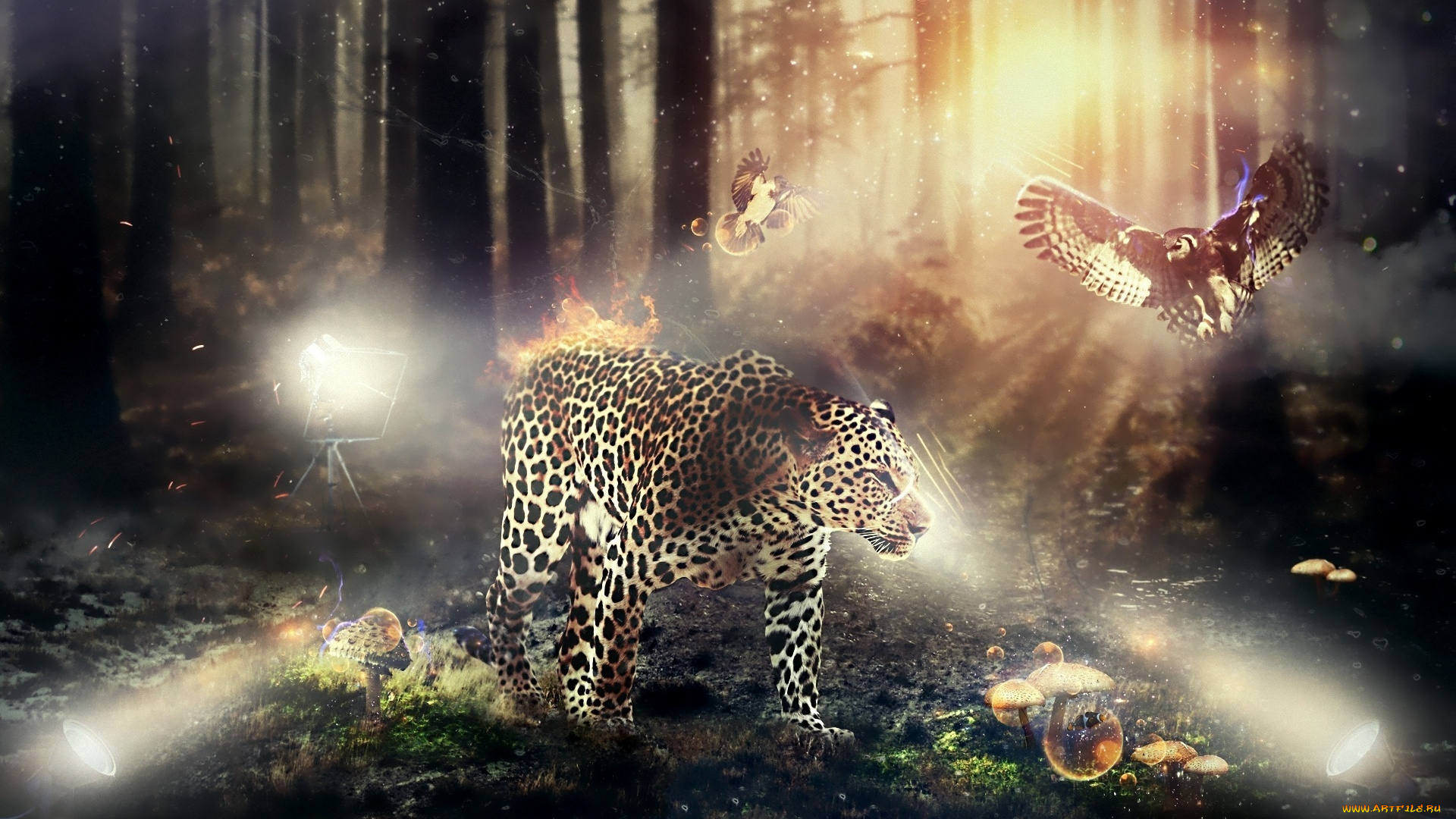 разное, компьютерный, дизайн, огонь, лес, грибы, леопард, сова, деревья