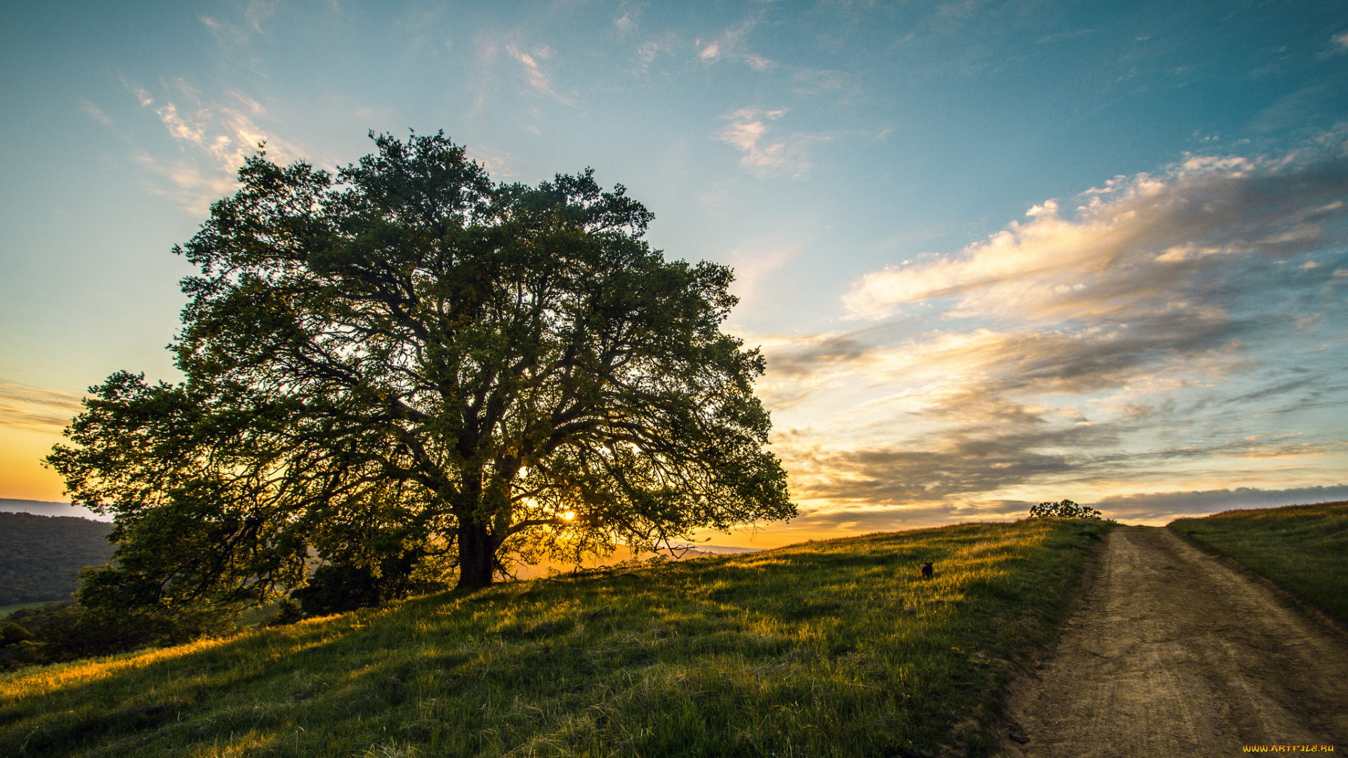 природа, дороги, тракт