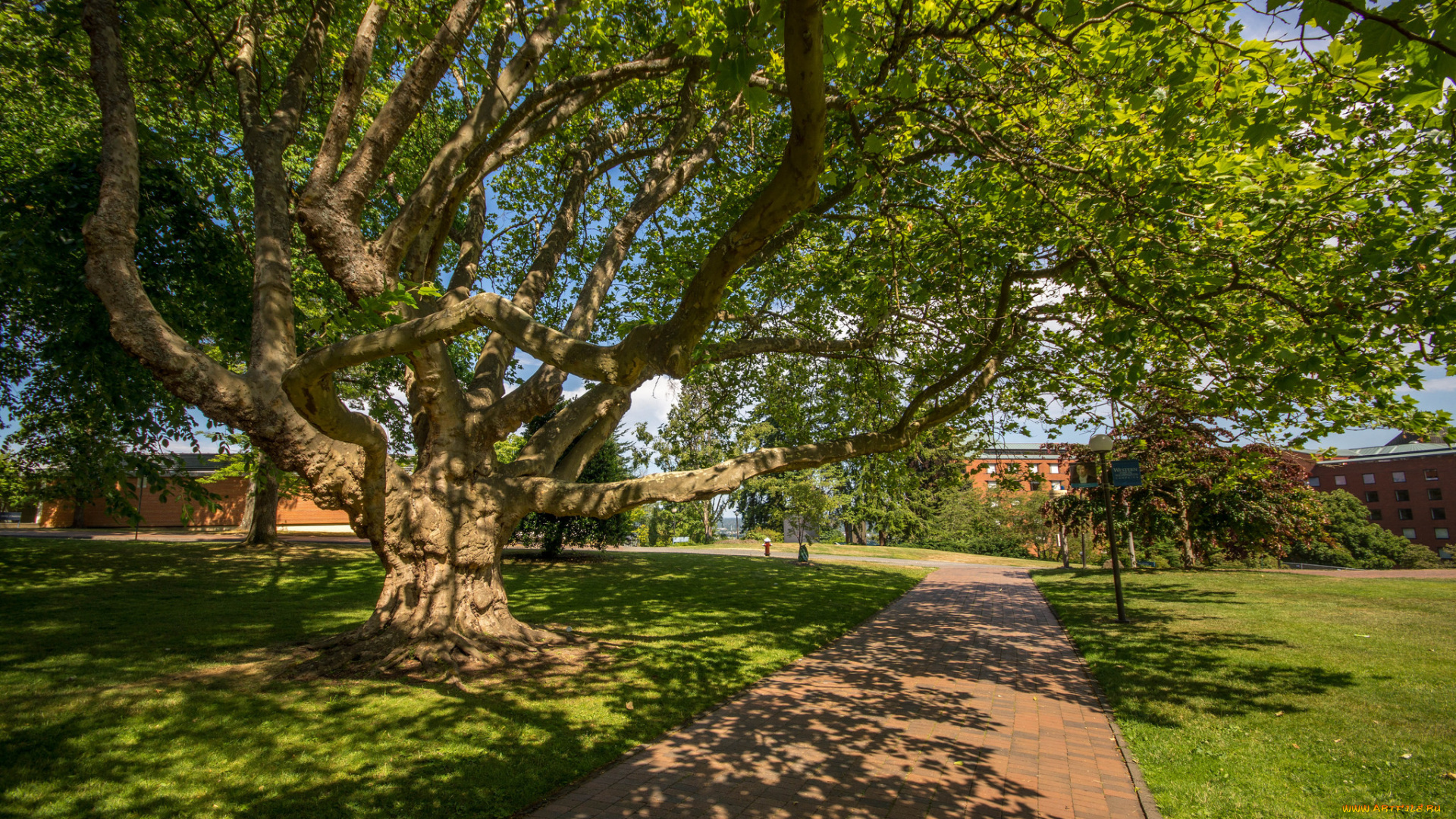 природа, дороги, тракт