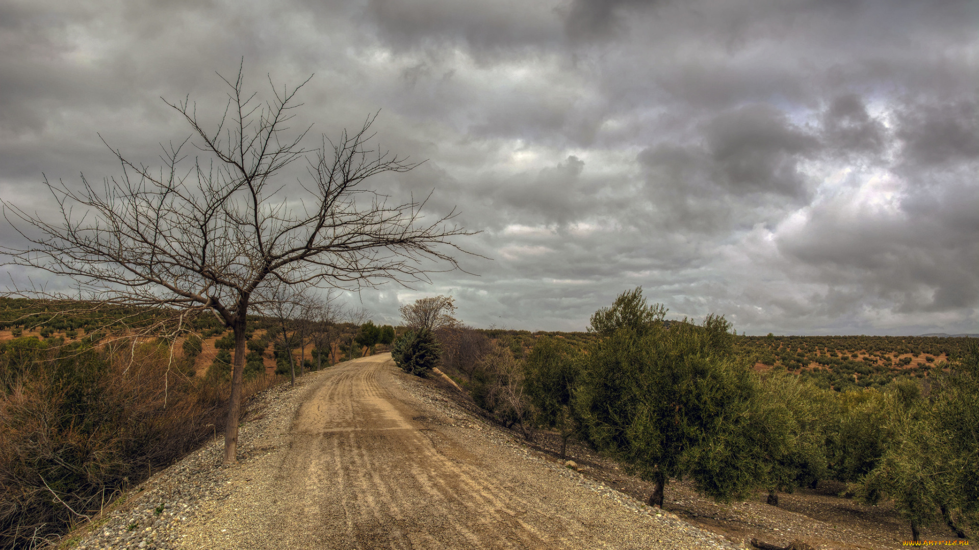 природа, дороги, тракт