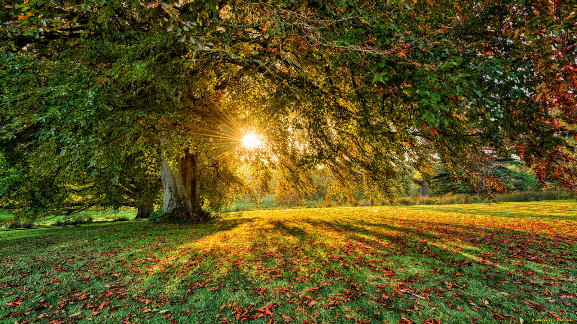 природа, восходы, закаты, рассвет