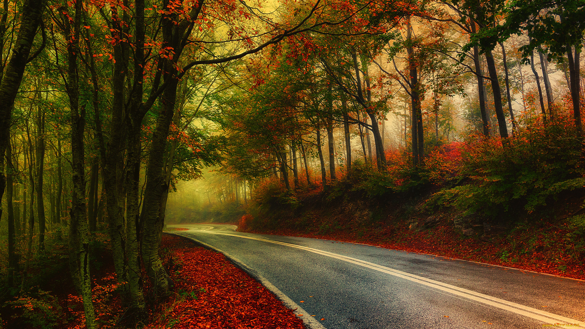 природа, дороги, тракт