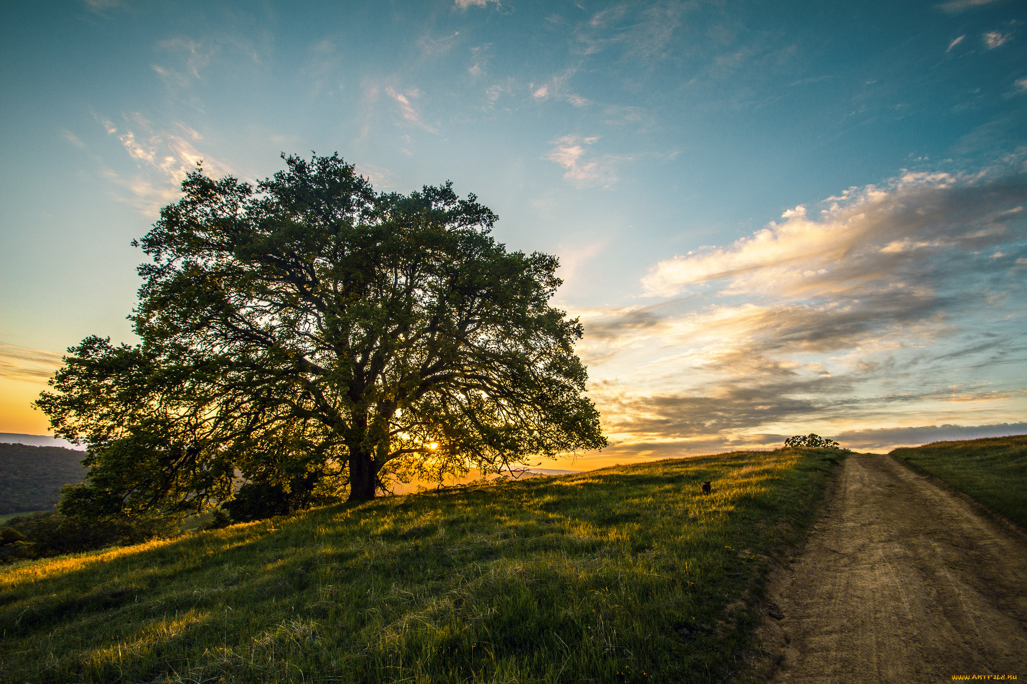 природа, дороги, тракт
