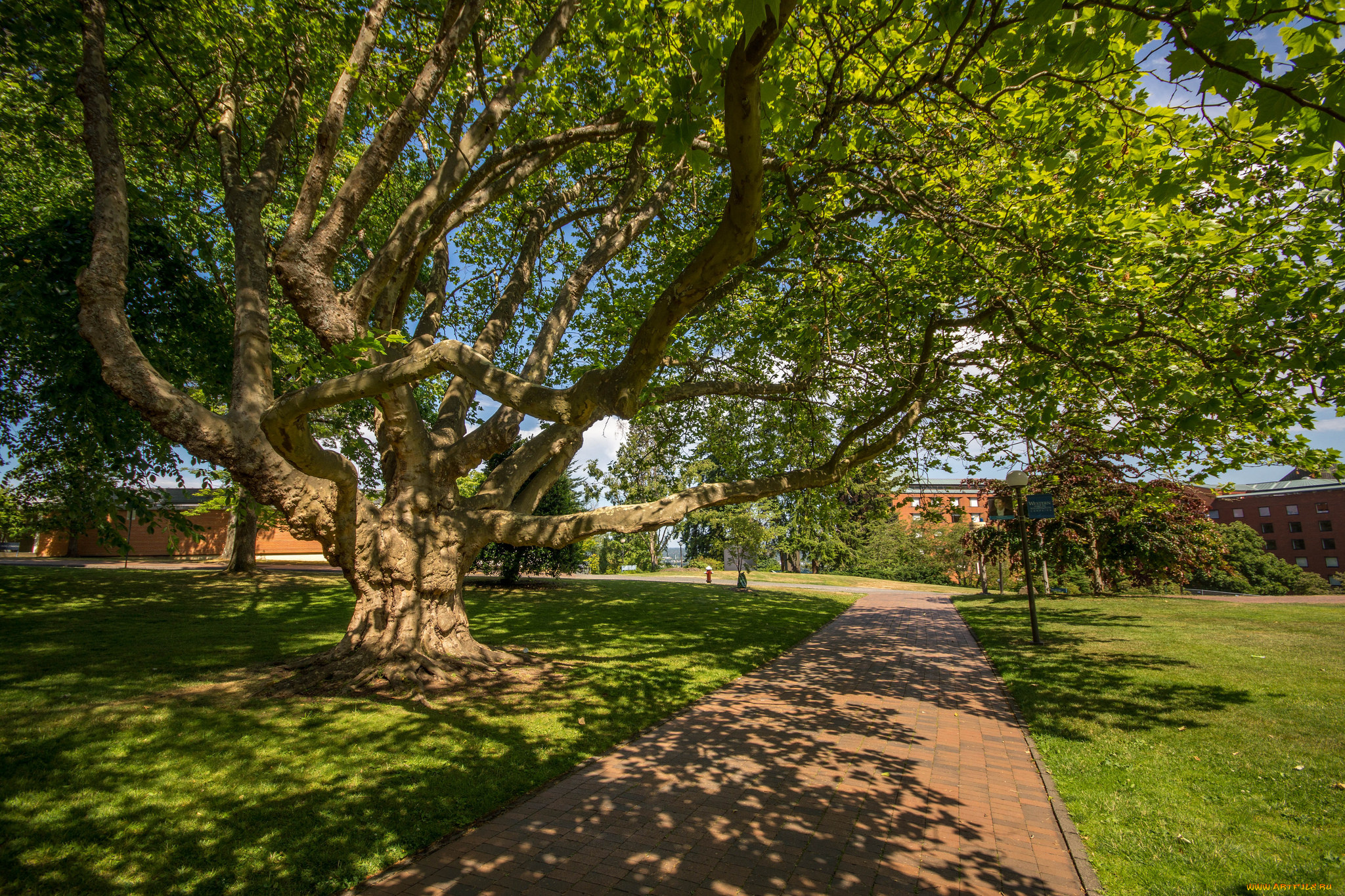 природа, дороги, тракт