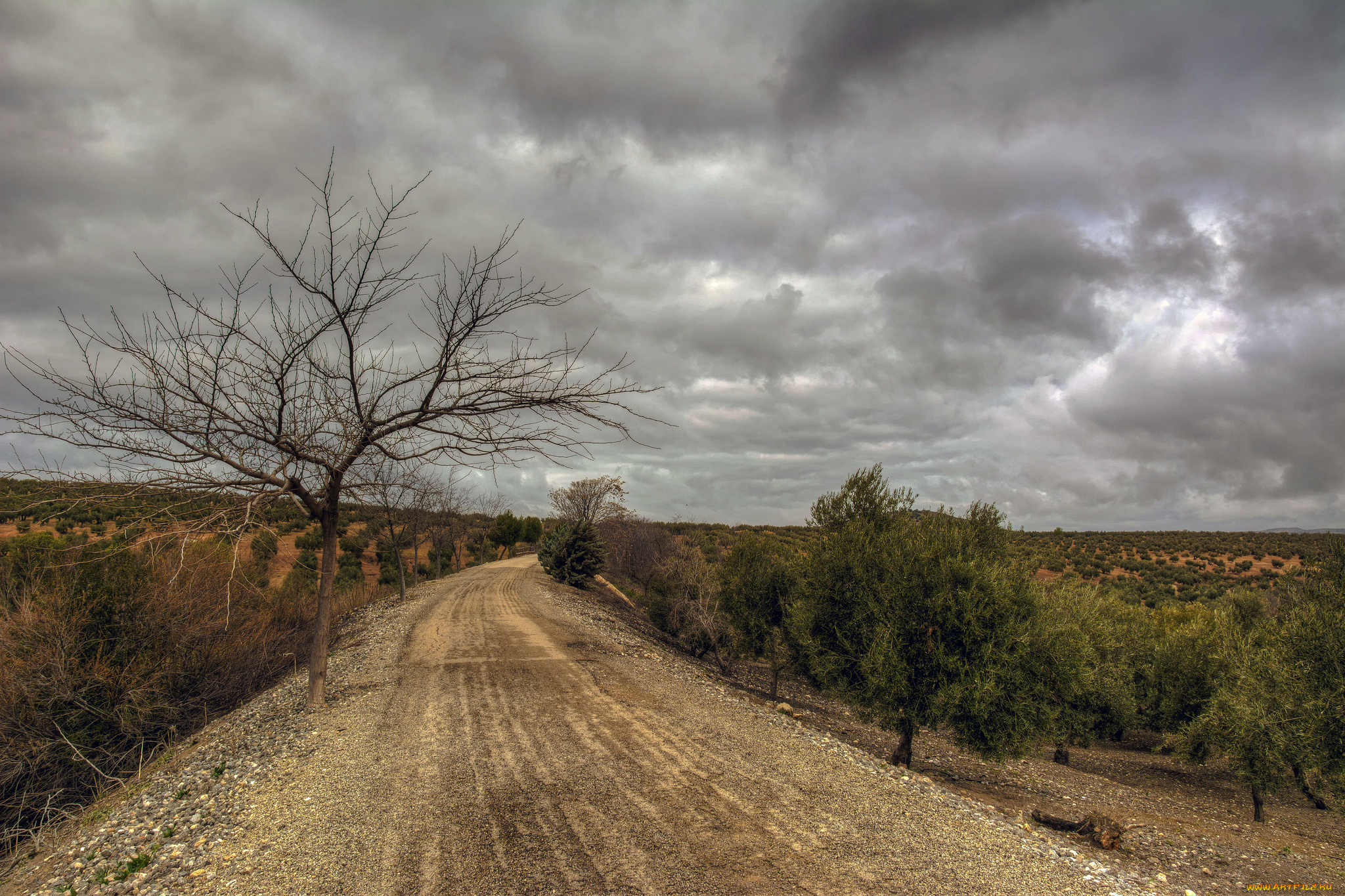 природа, дороги, тракт