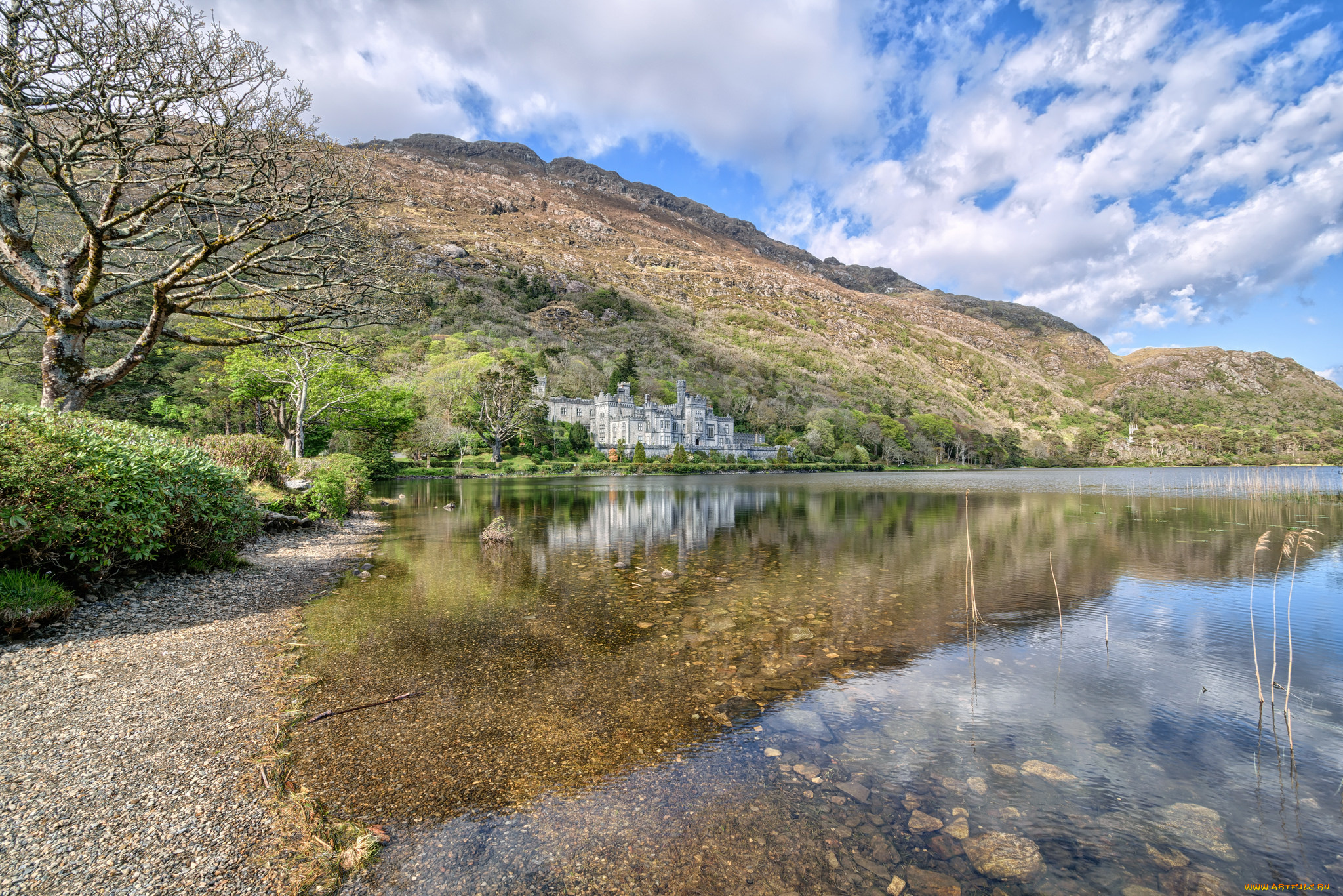 kylemore, abbey, города, -, пейзажи, лес, река
