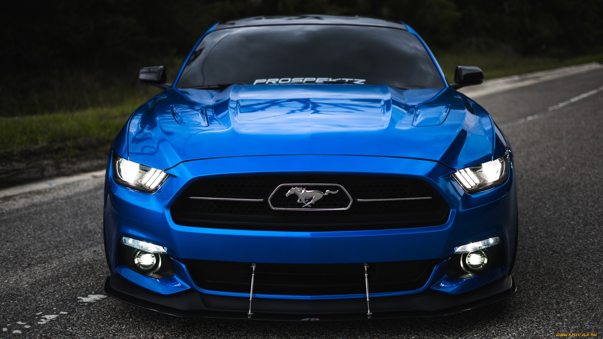 автомобили, mustang, ford