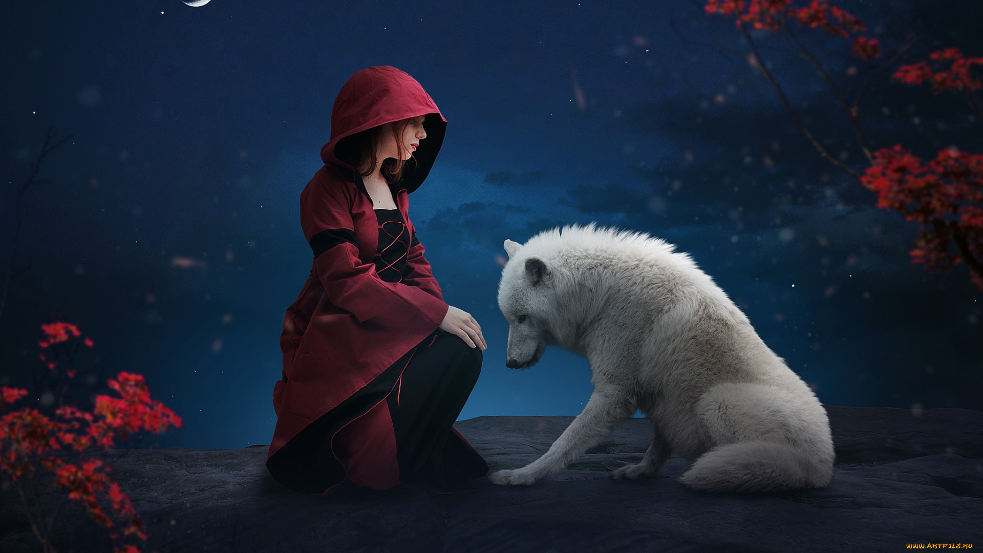 фэнтези, фотоарт, девочка, плащ, красный, волк, белый, друзья, сказка, ночь, животное