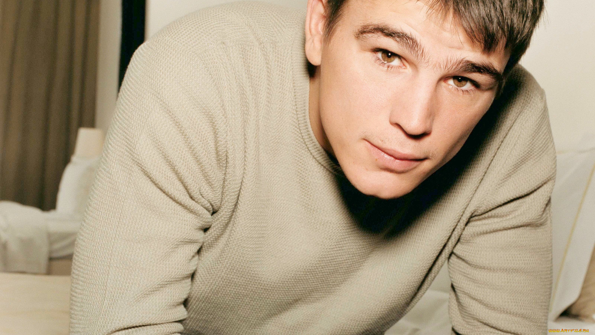 мужчины, josh, hartnett, актер, лицо, свитер