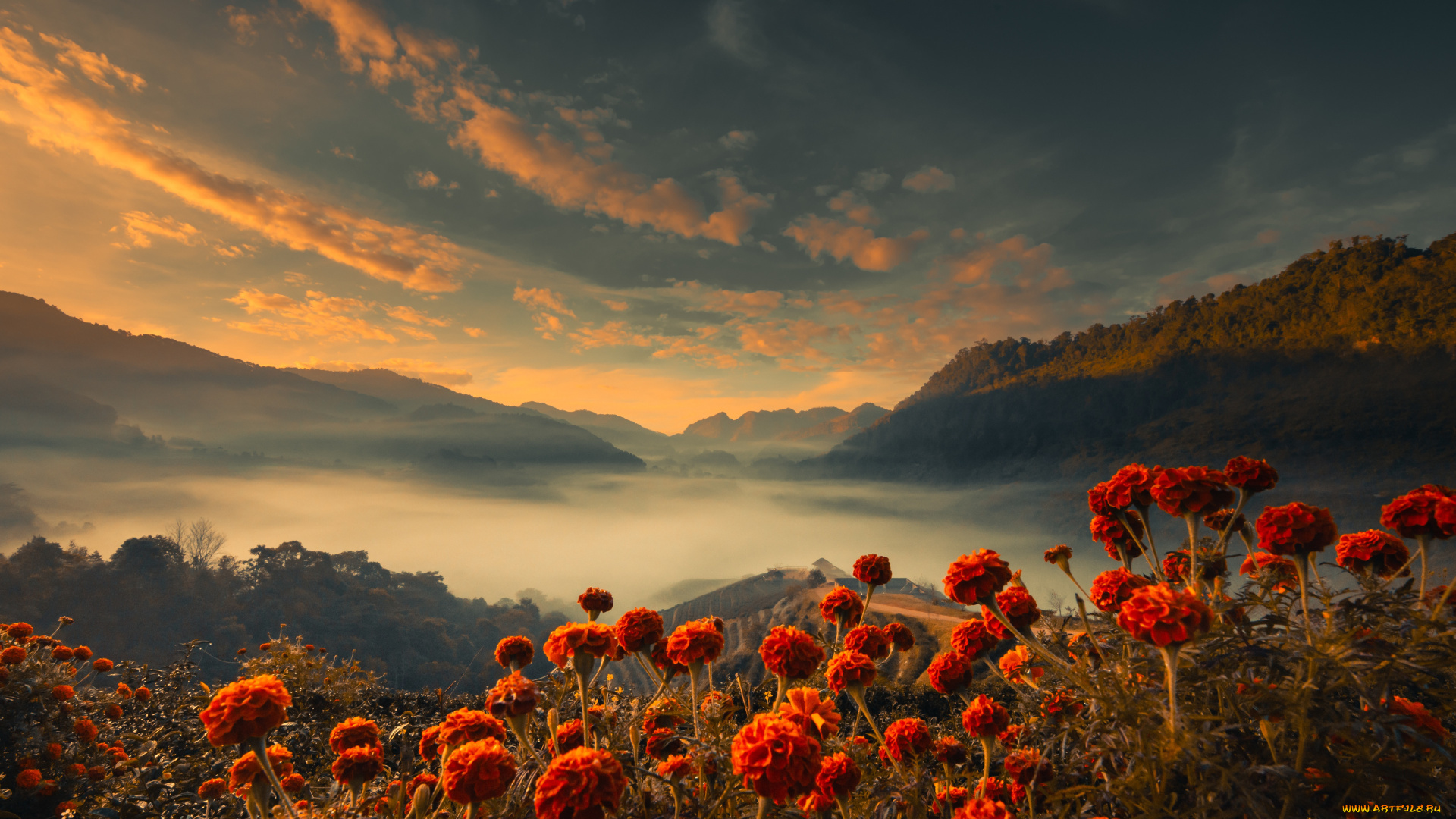 природа, пейзажи, лето, небо, облака, свет, цветы, горы, туман, рассвет