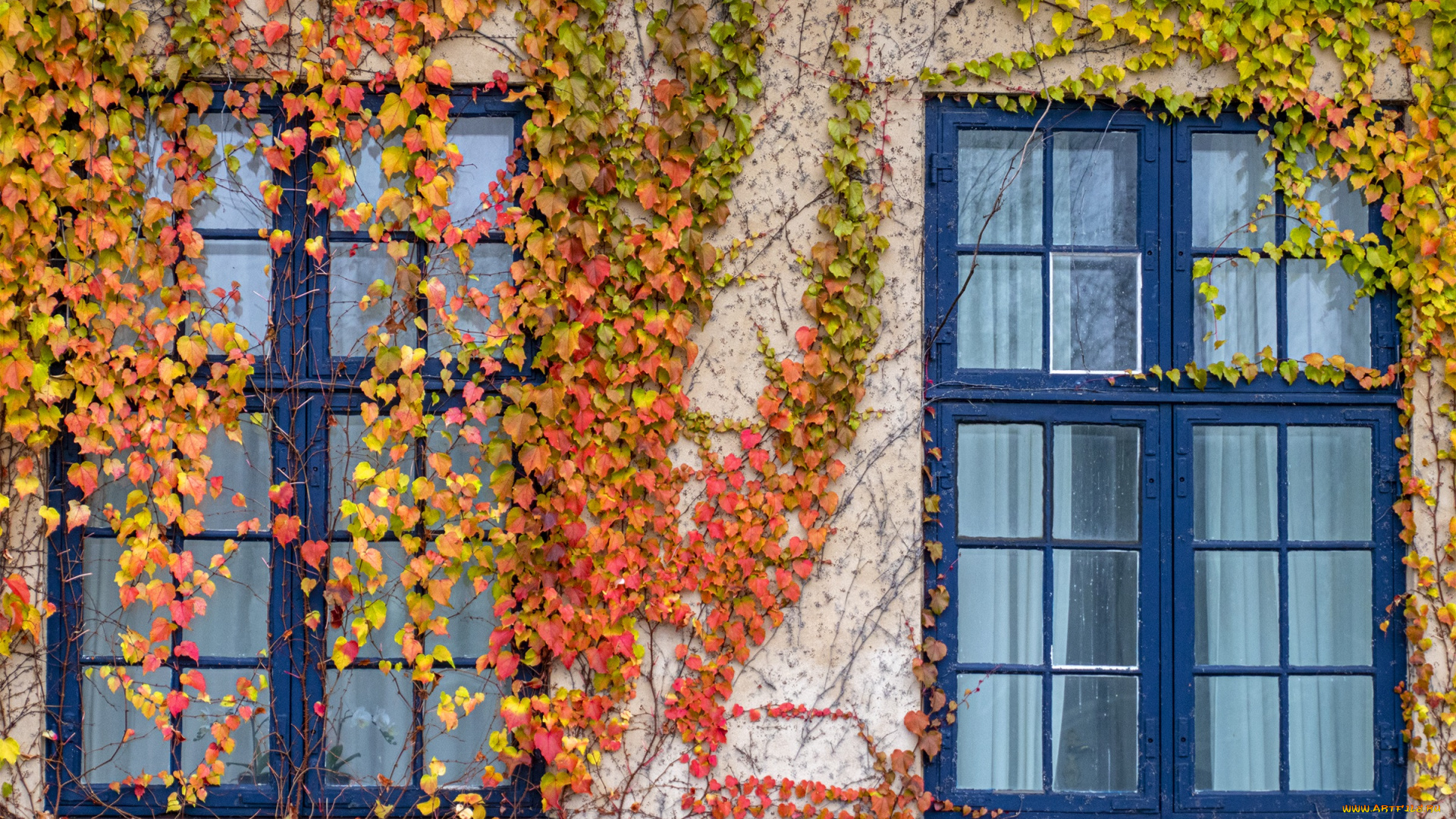 разное, элементы, архитектуры, окна