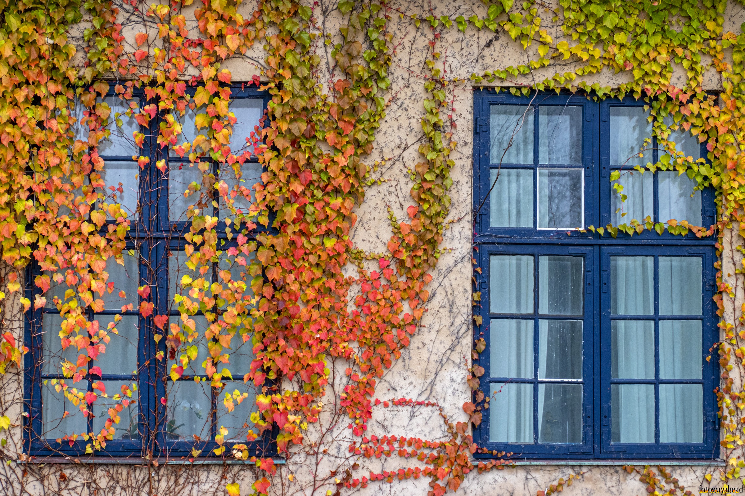 разное, элементы, архитектуры, окна