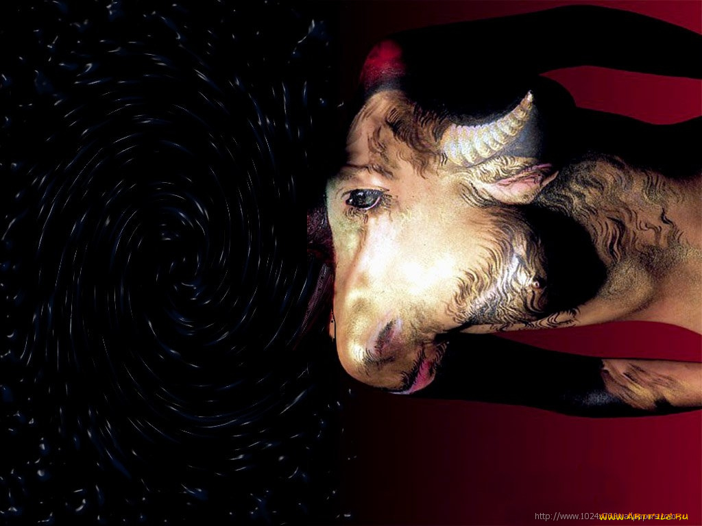 taurus, разное, знаки, зодиака